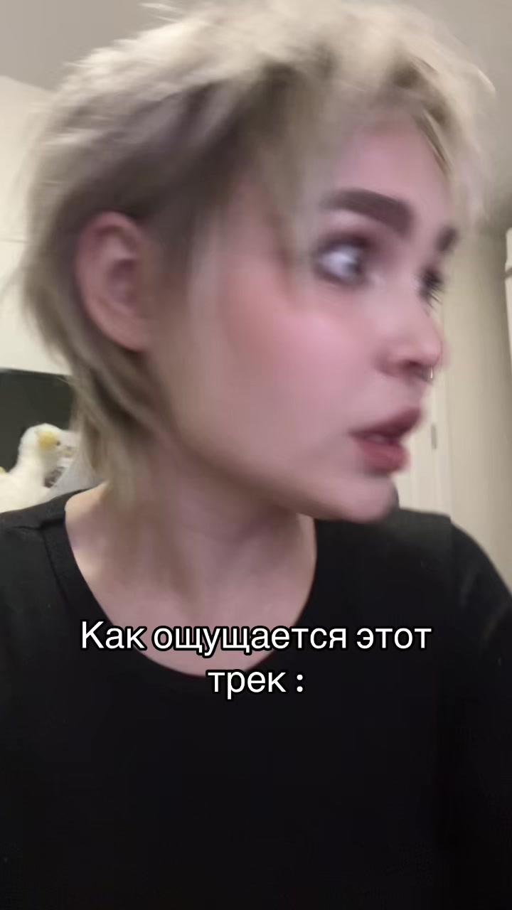 @skufetta2004