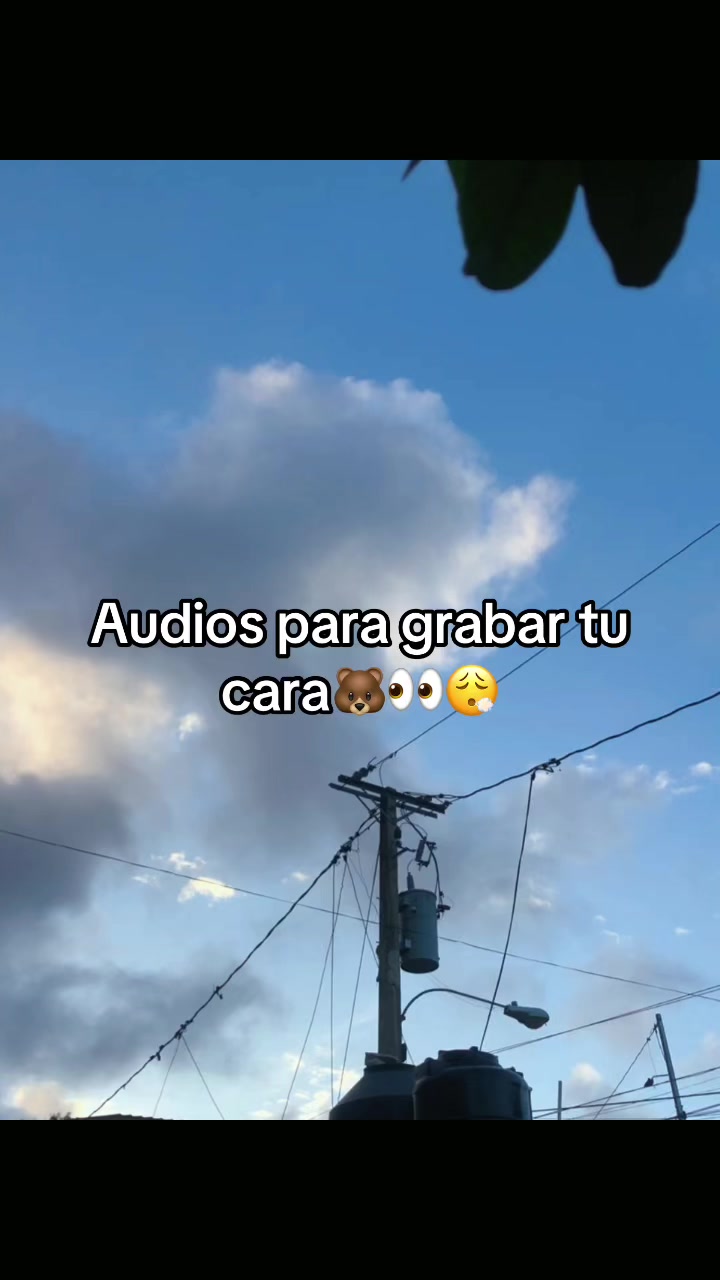 @Tus rolitas                 🧸