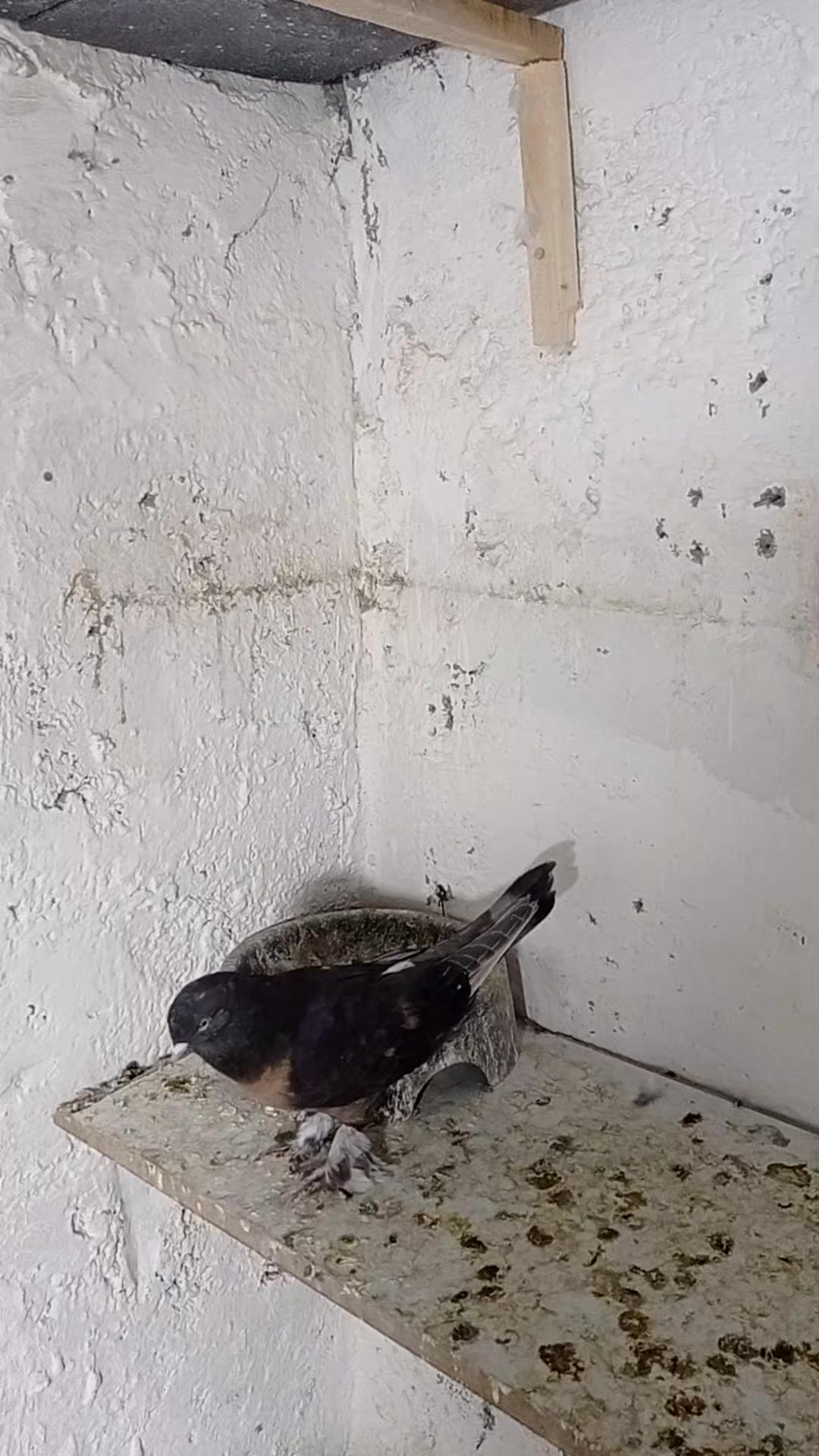 @deniz kayıkcı 73