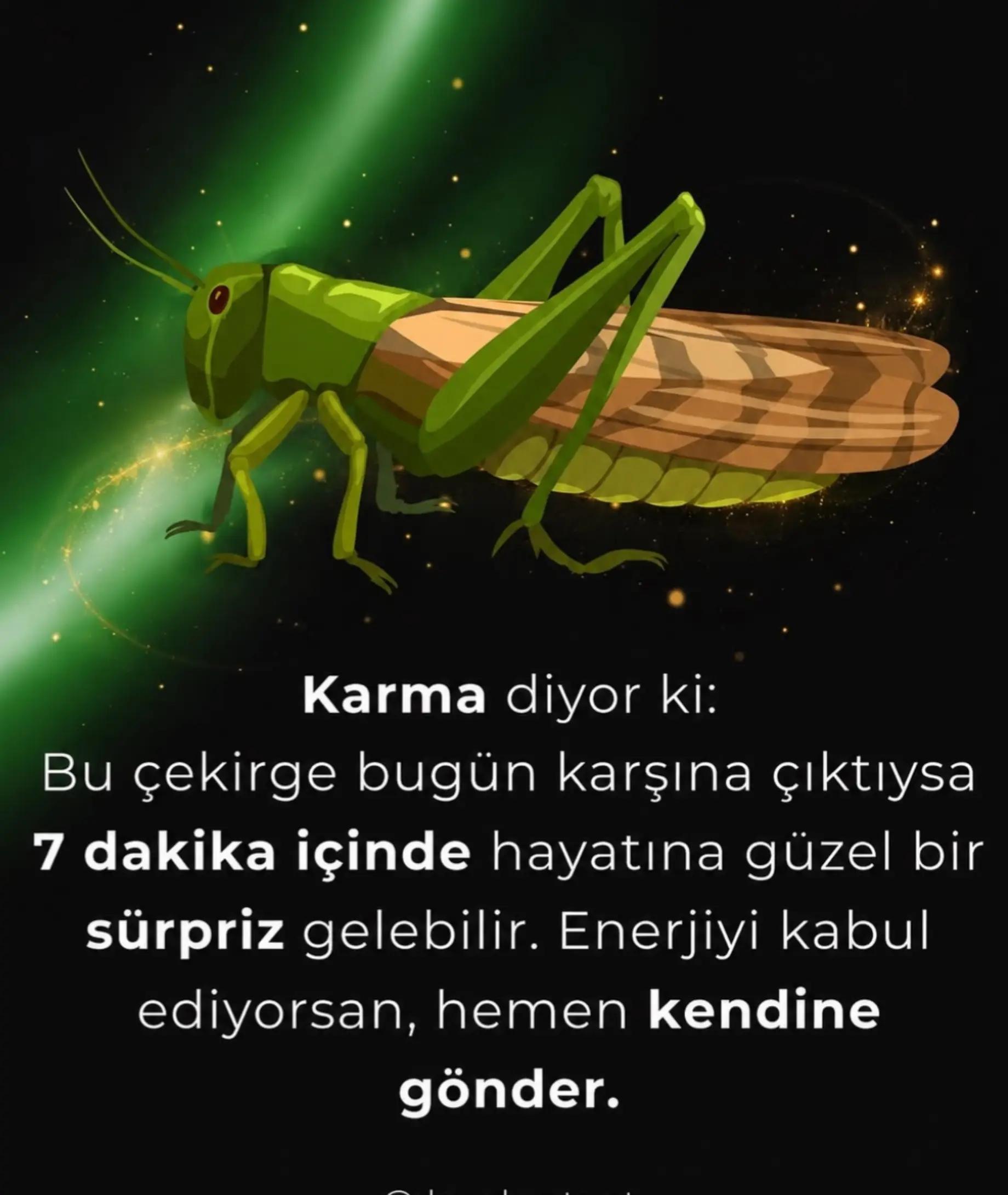 @𐙚𝑬𝒎𝒊𝒏𝒆☆