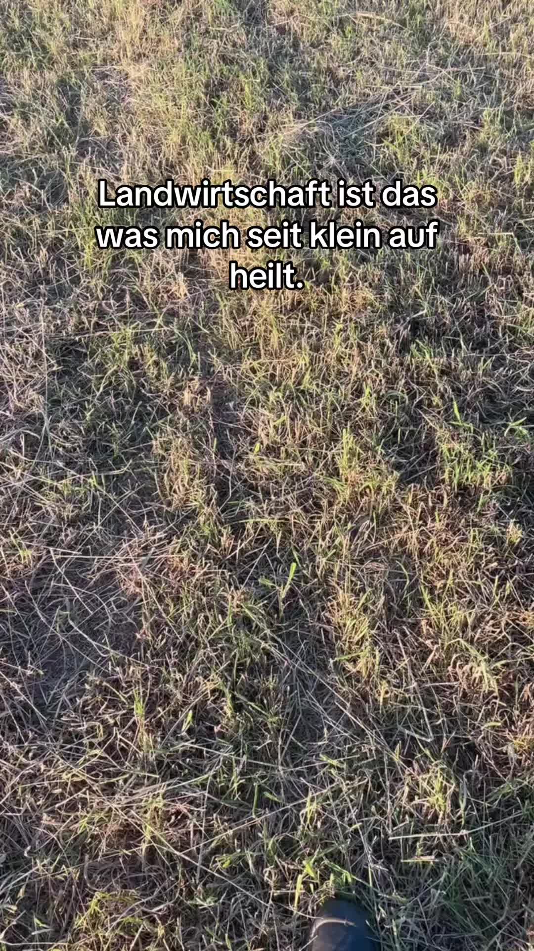 @Agrar_ShTV