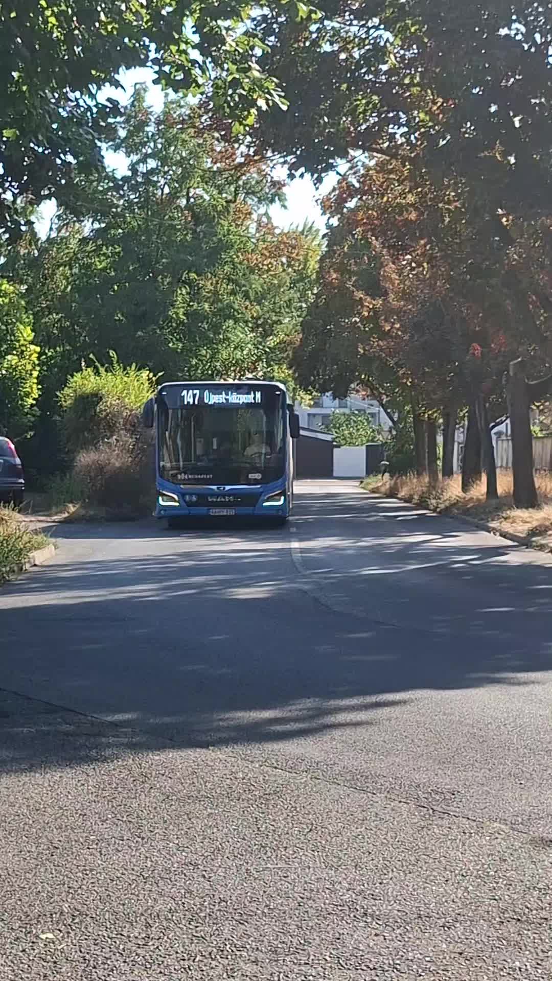 @𝑄𝑦𝑟𝑒𝑥