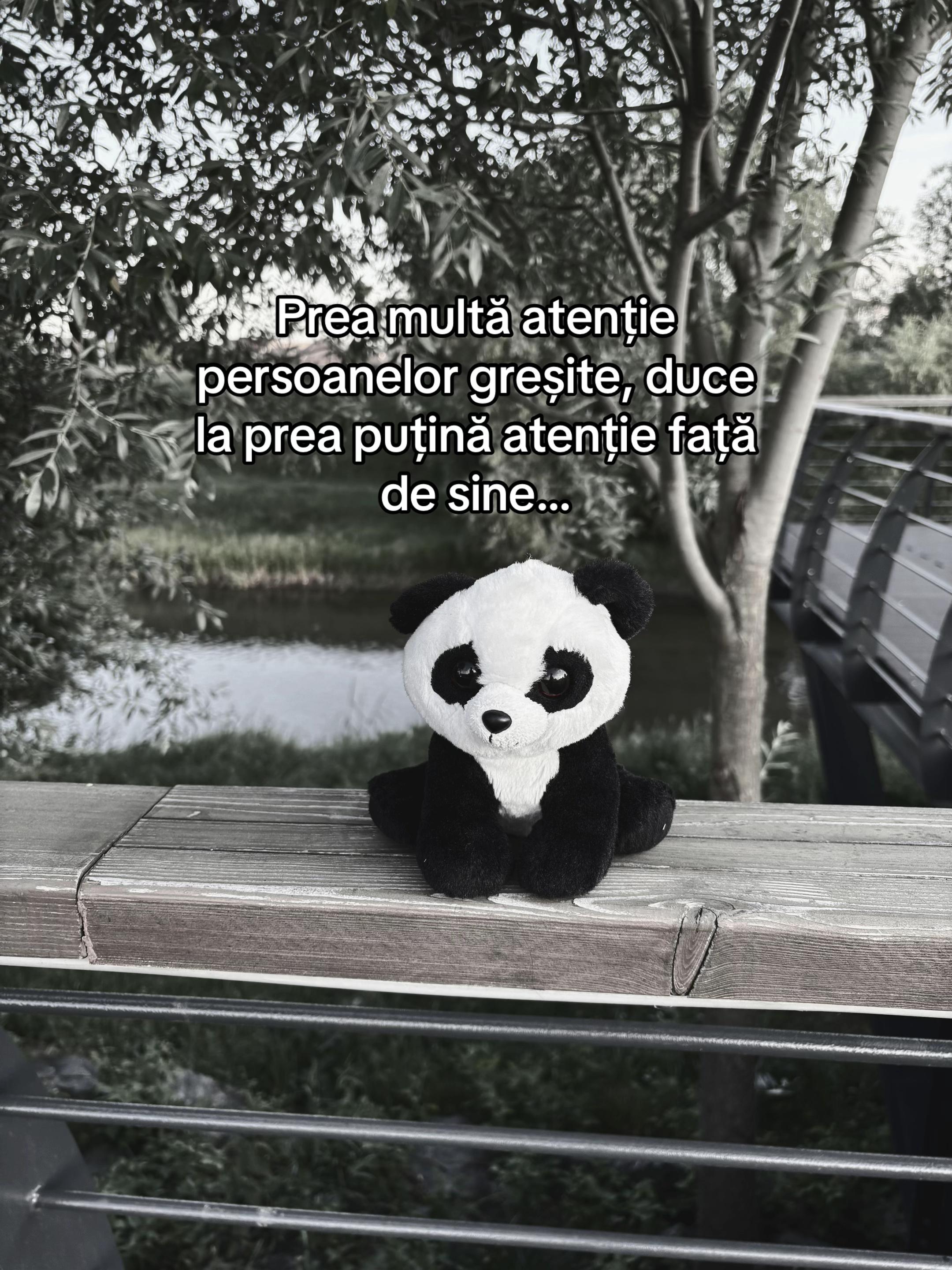 @Păușan Paul