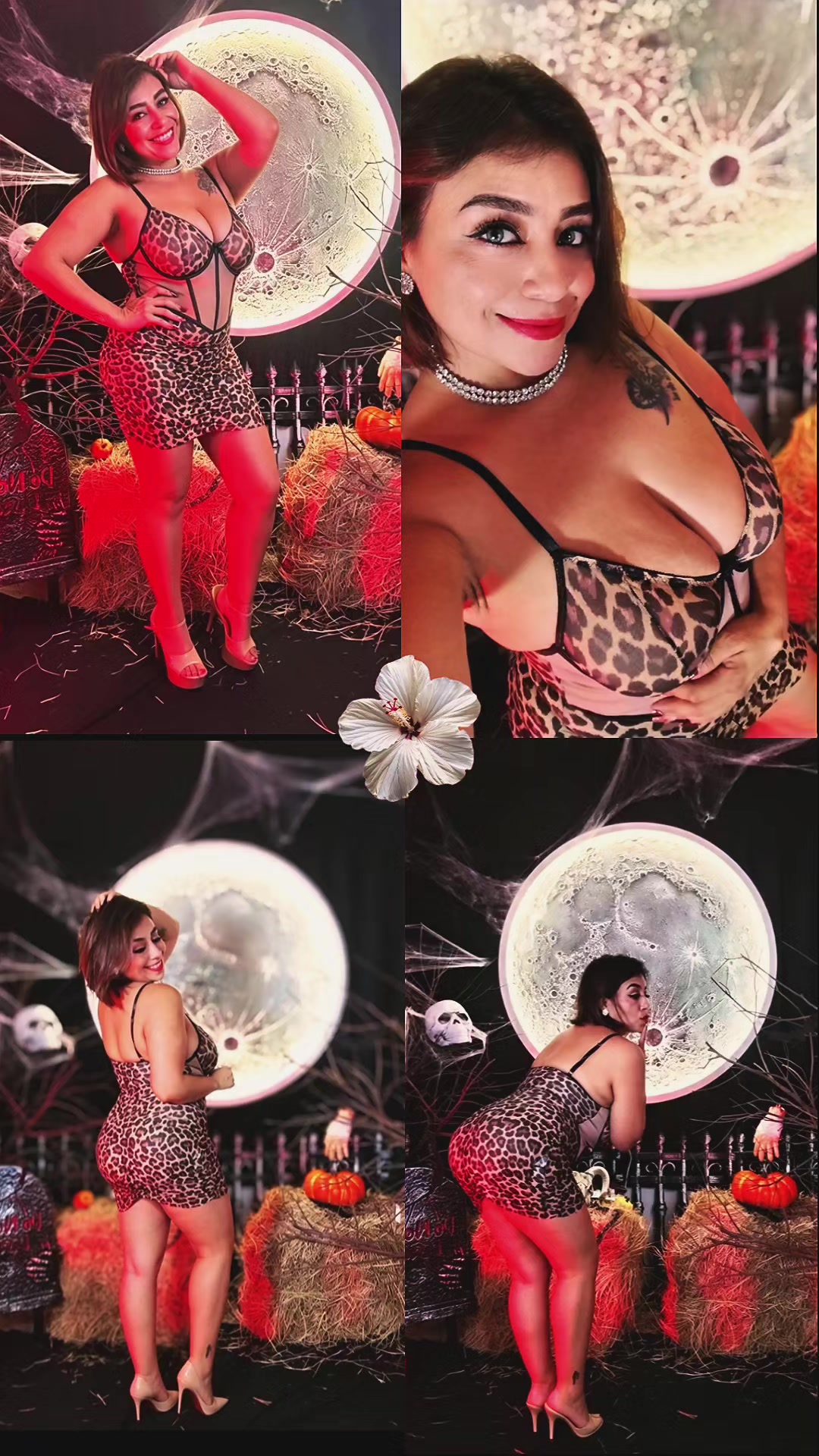@Viv&iacute;