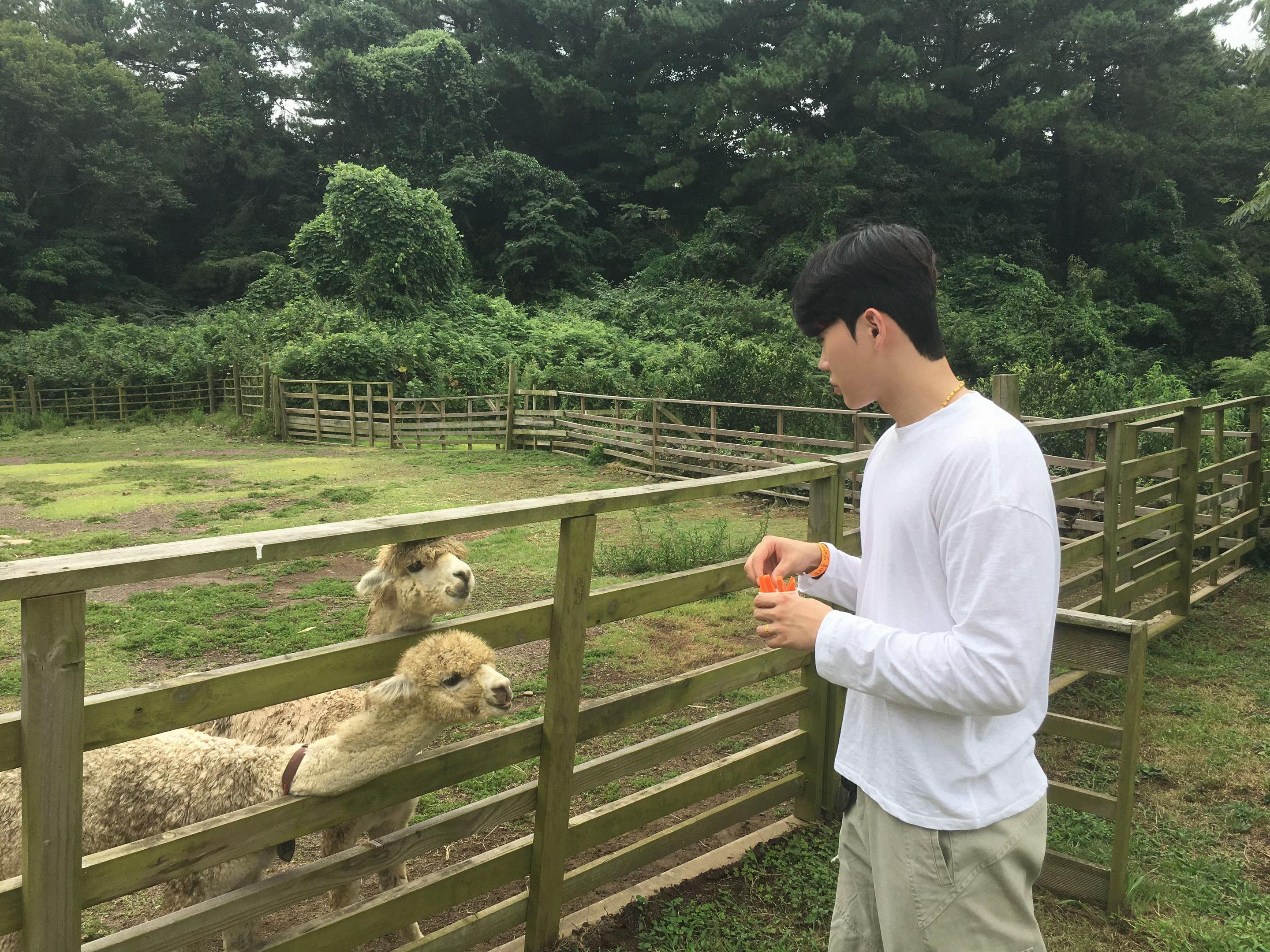 @돼지섭 🐷