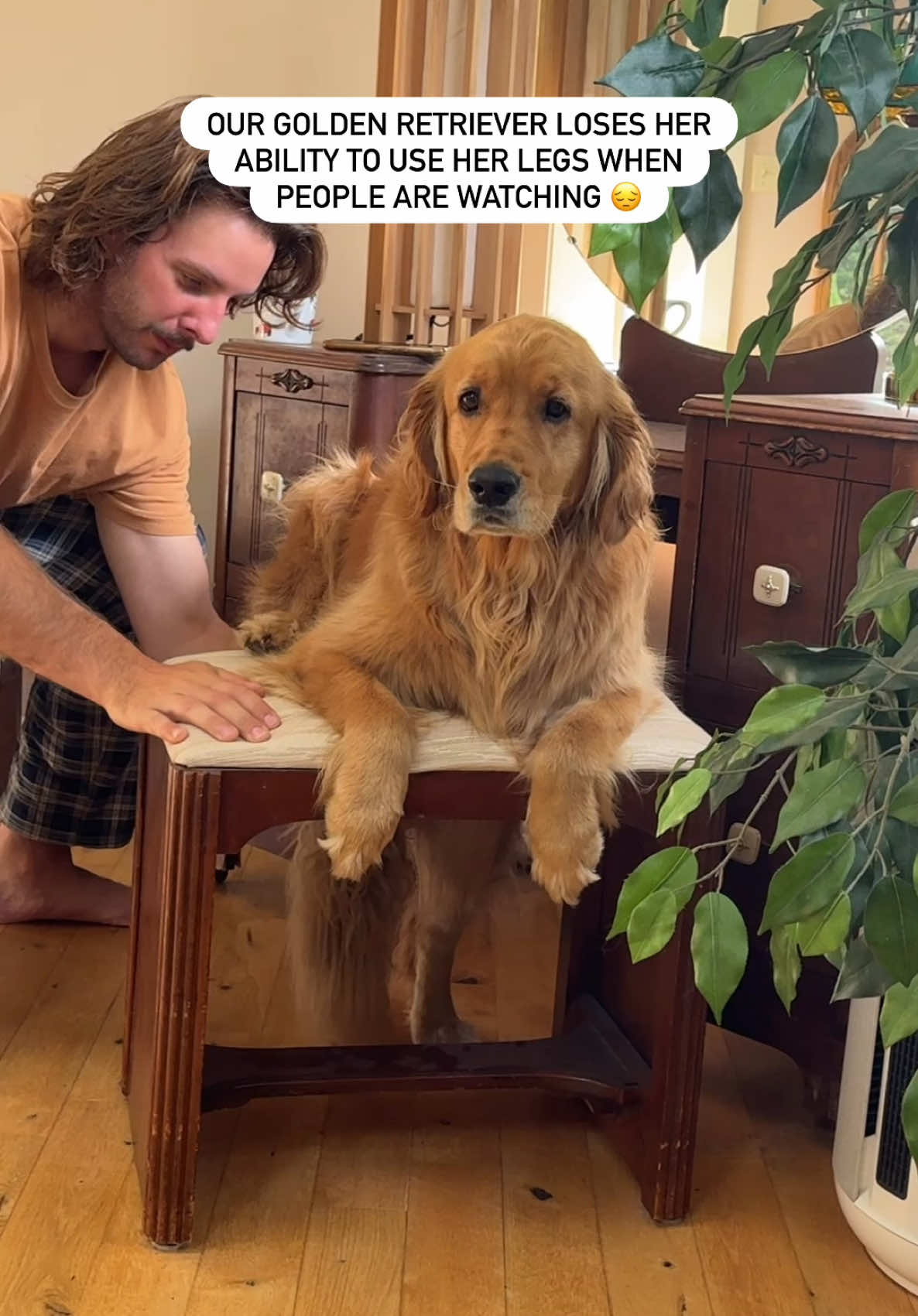 @Pacha and Bucket the Goldens