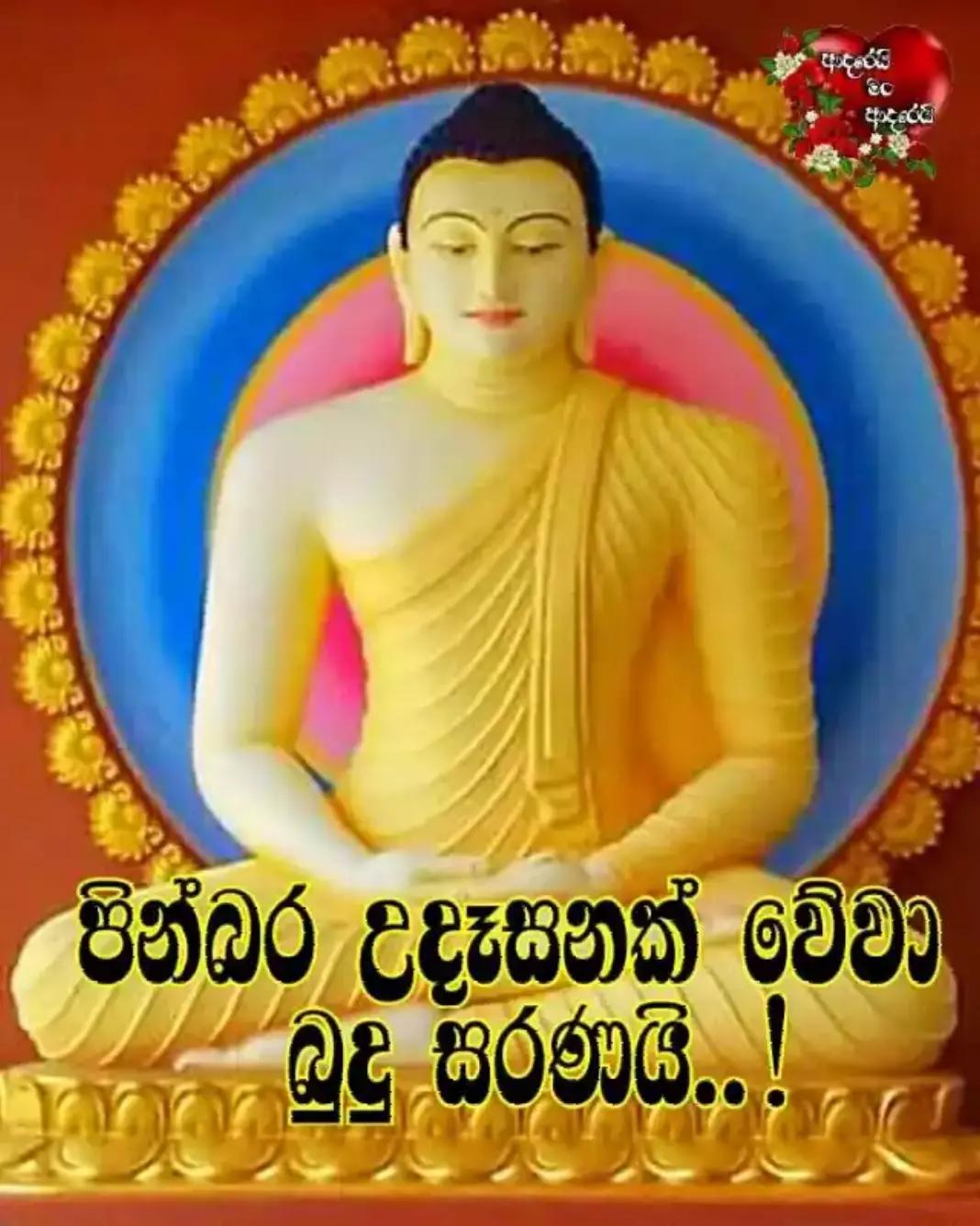 @Aashu Malik