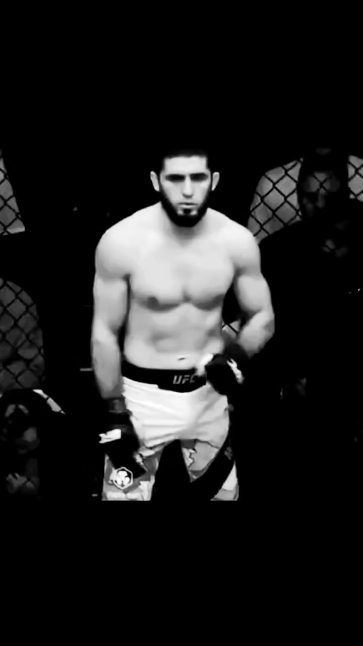 @MMA🐺