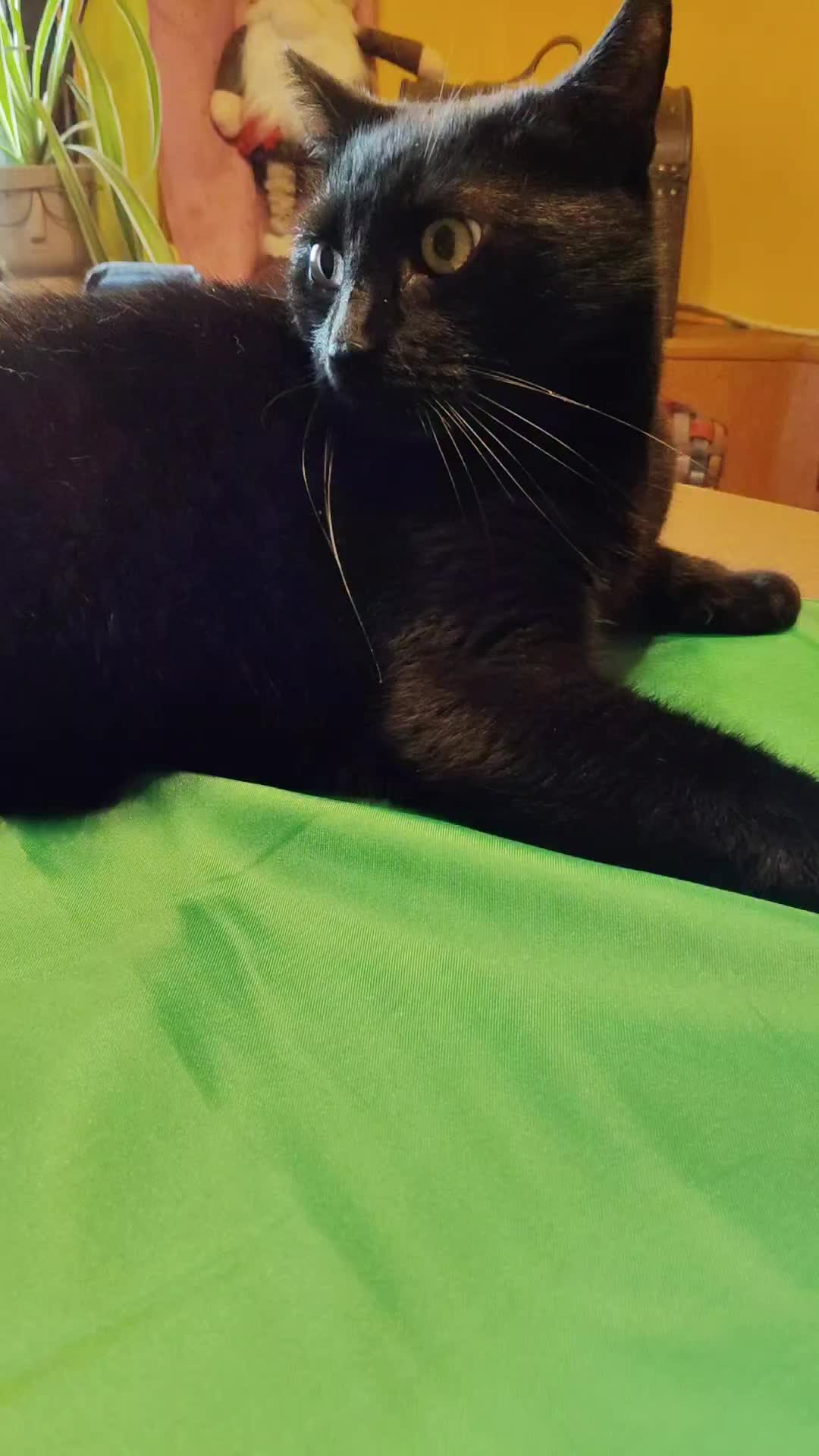 @✌️😻𝕱𝖚𝖓𝖟𝖓