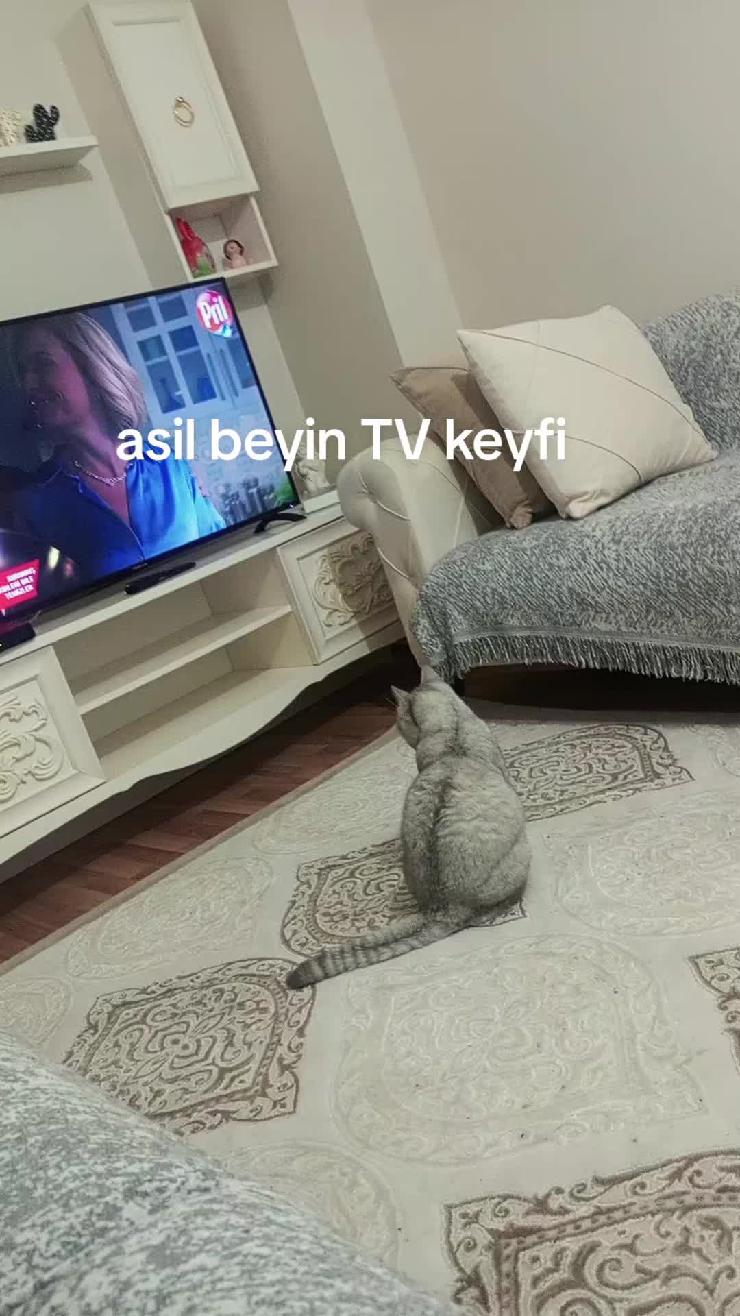 @leyla
