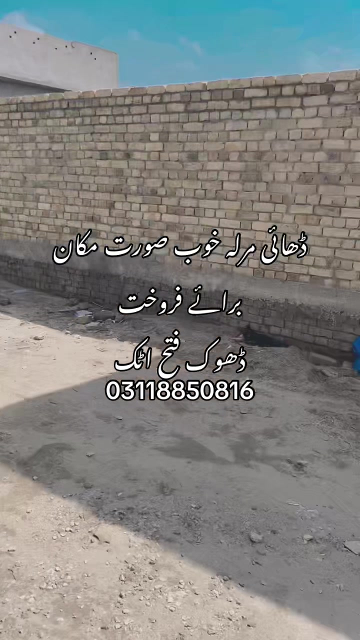 @03118850816