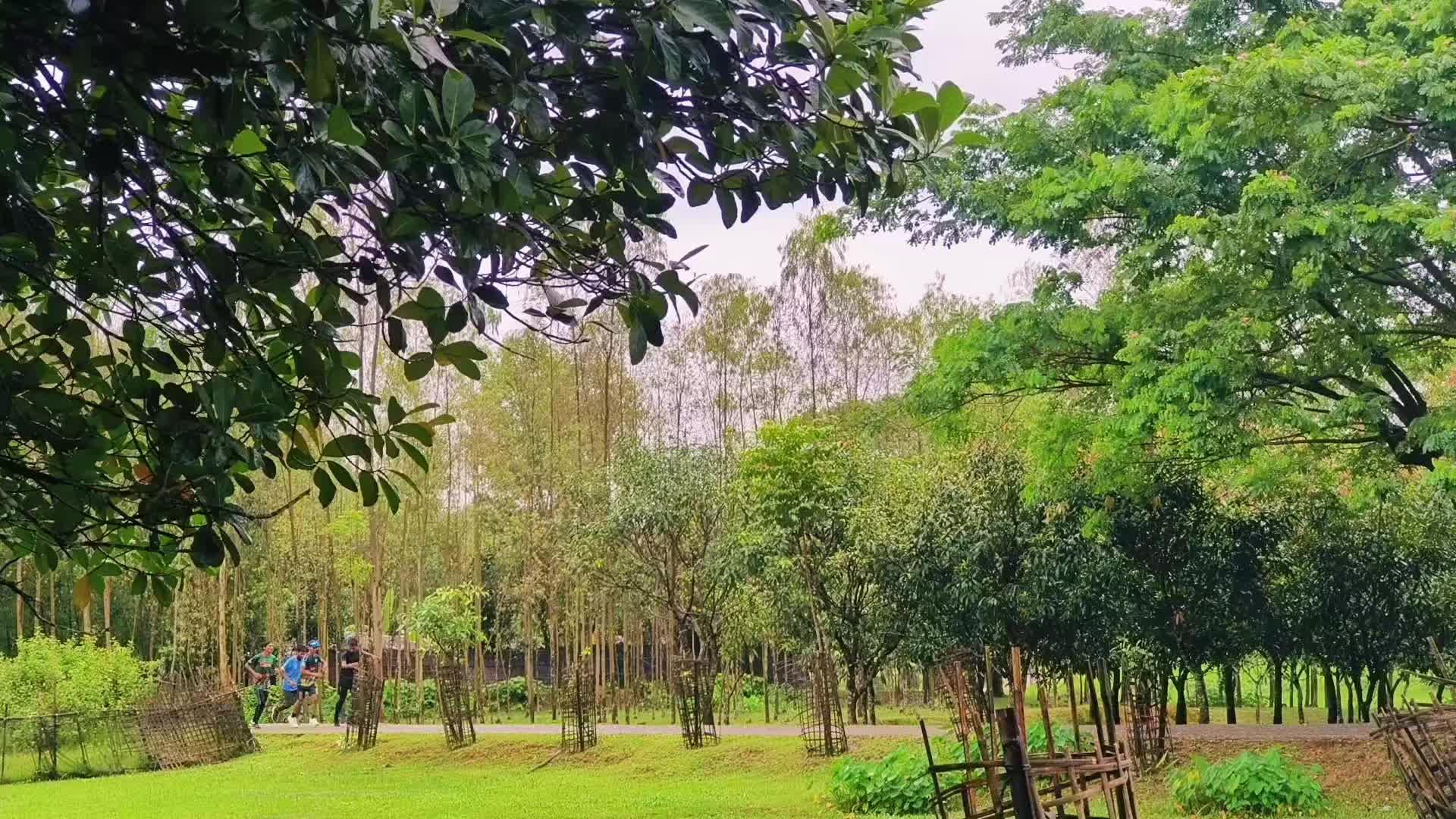 @riduanulridu2