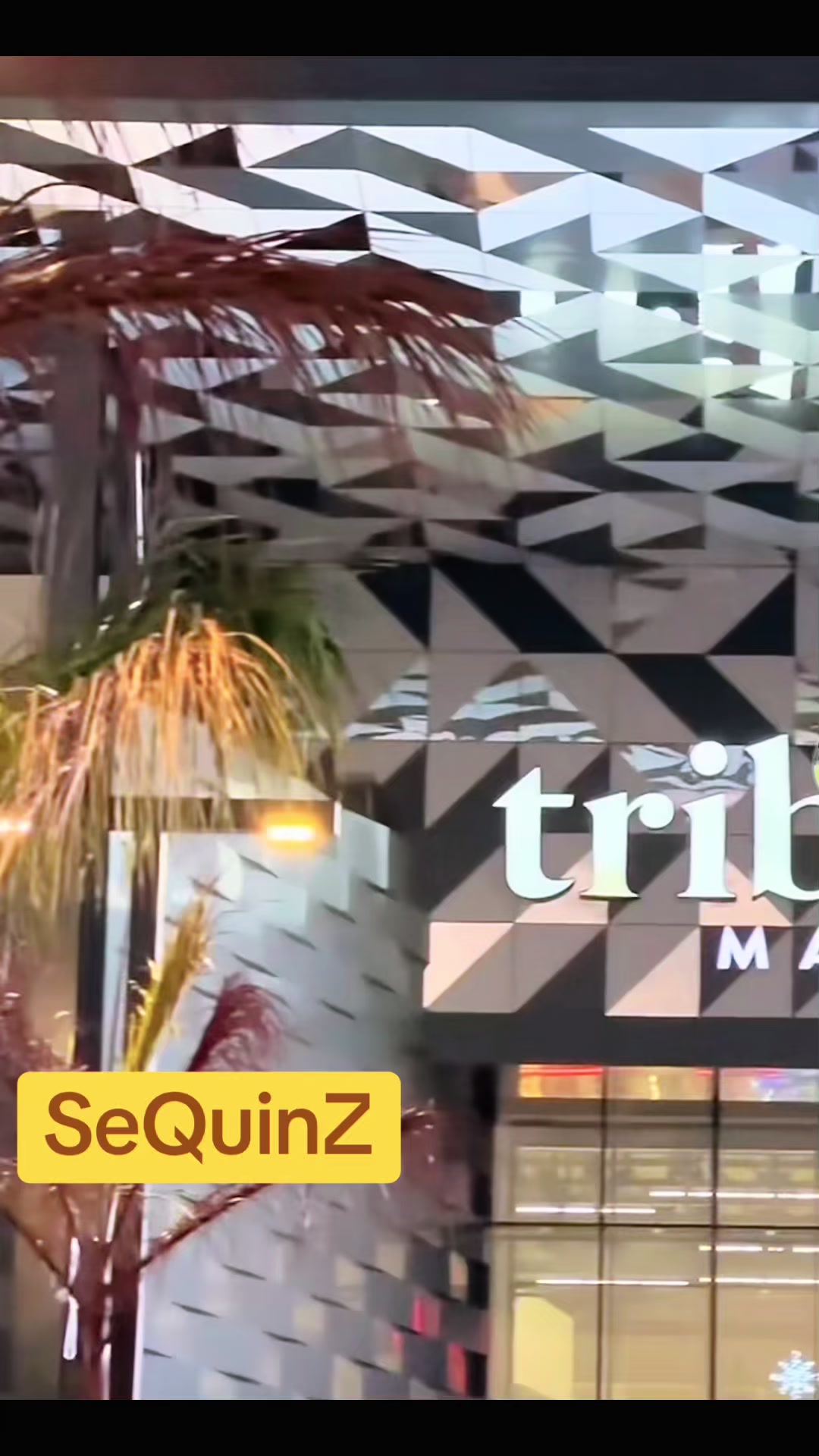 @sequinz_tribecamall