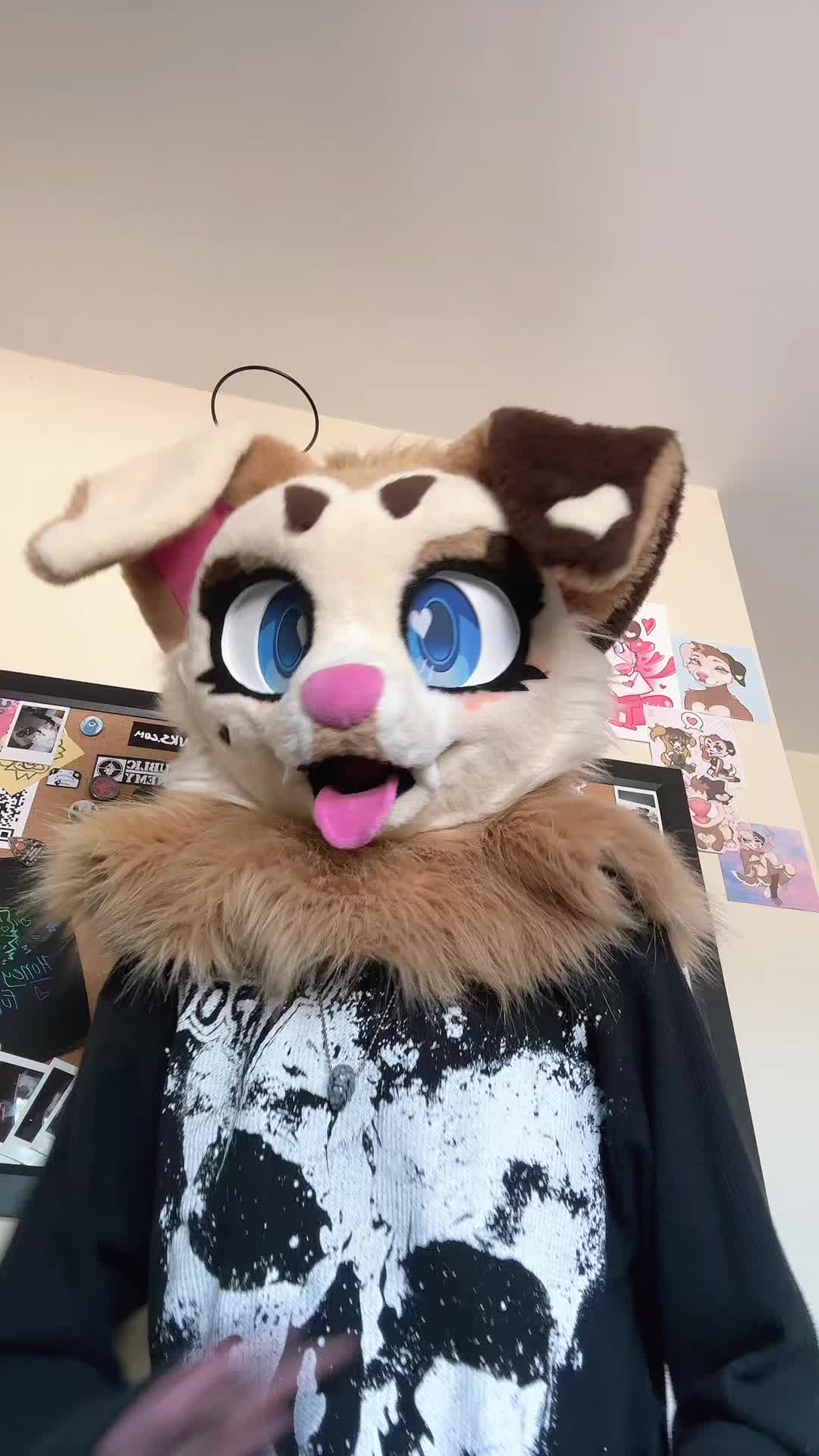 @˗ˏˋ ★ 𝓗𝓸𝓷𝓮𝔂 ‼🐾