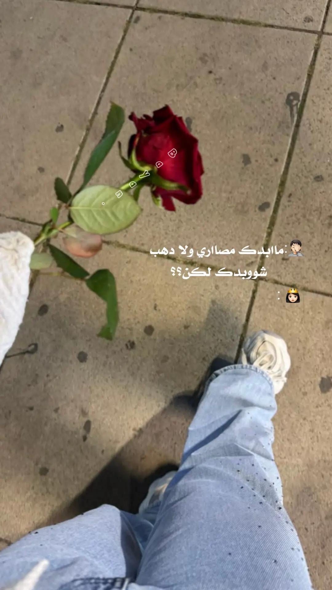 @بانِوﯡ  اﻟ 𓏺 اݪسوﯡݛيهۃَِ🎀؟.