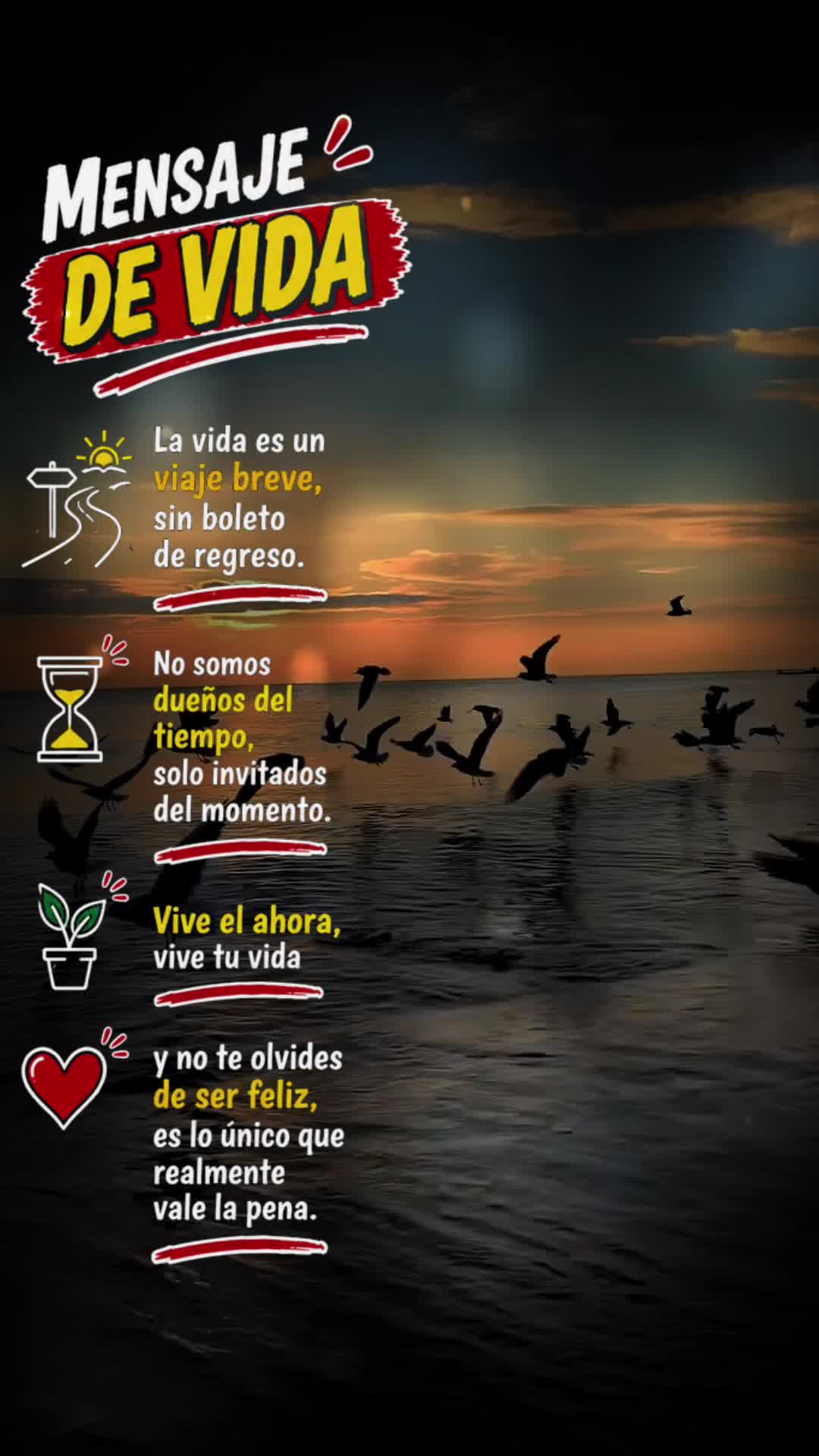 @isabelgarcia2608