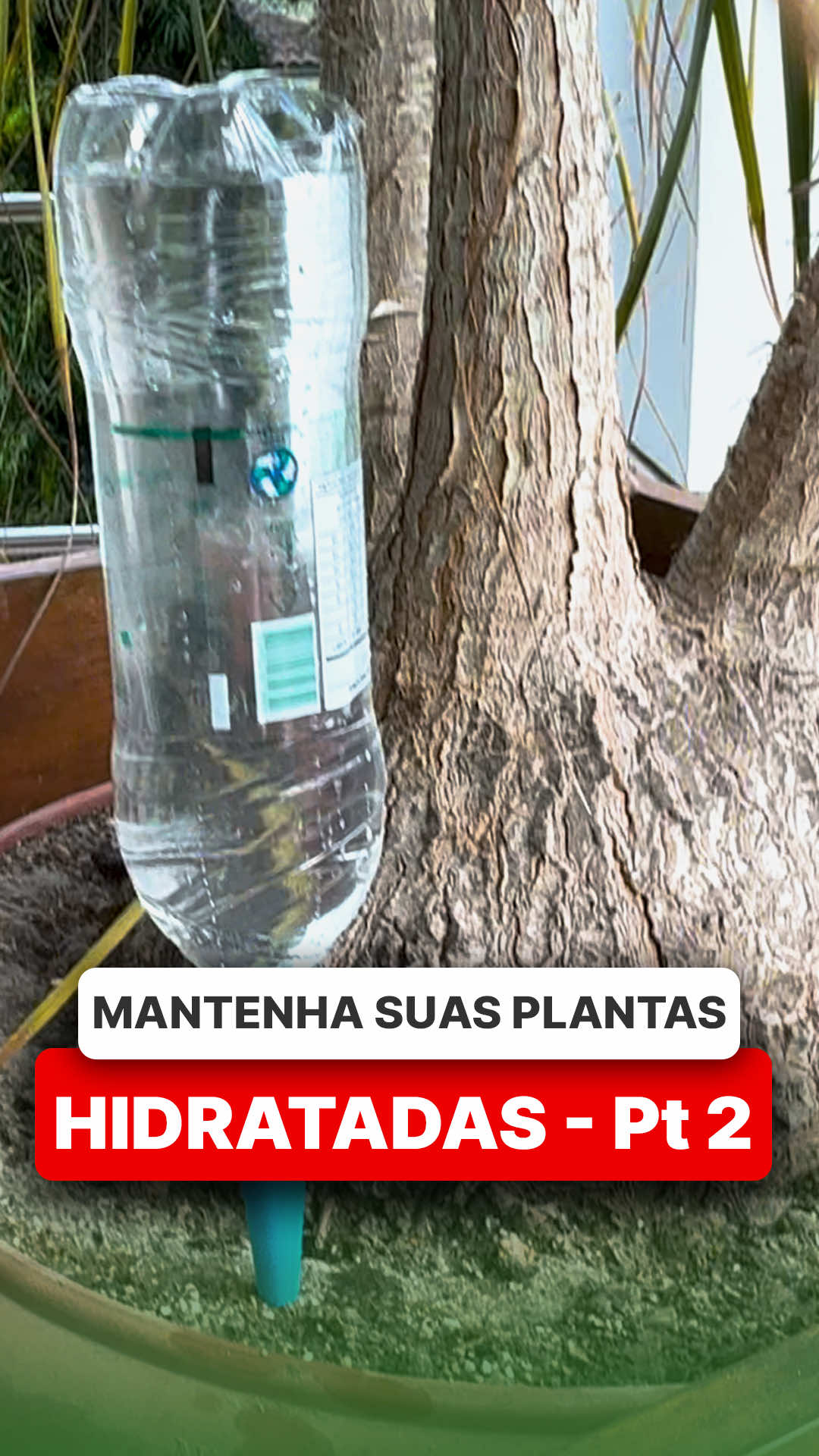 @ViveiroProMudas