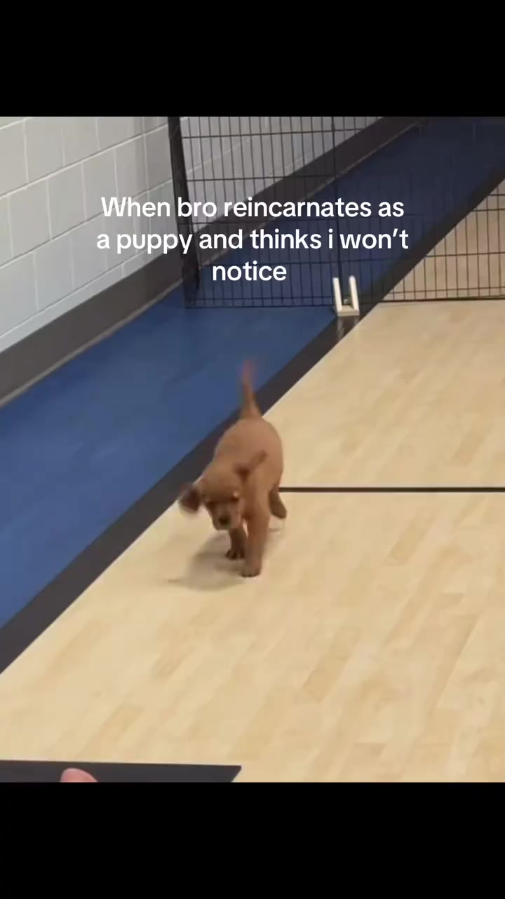 @Relatable🦍