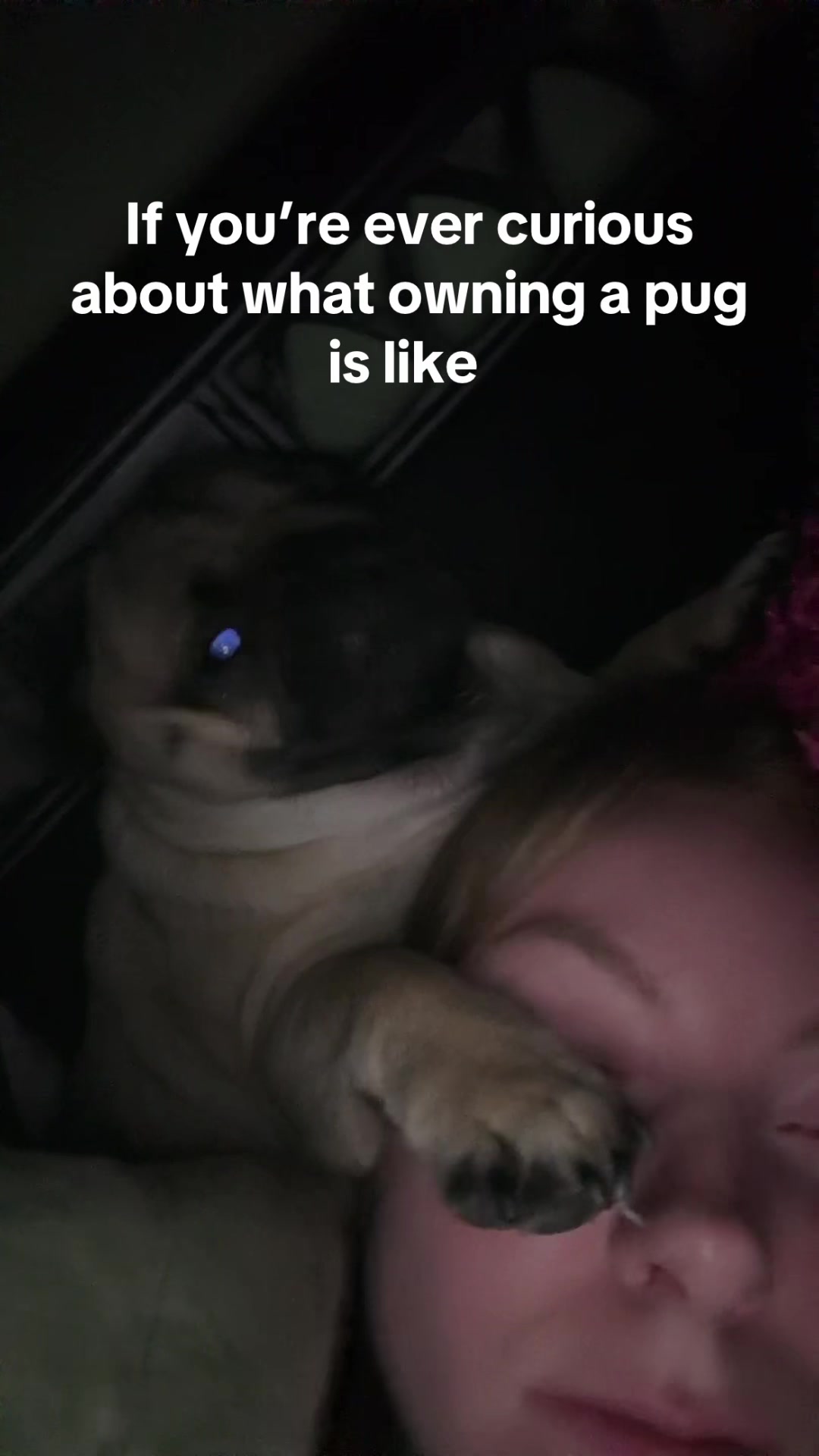 @thewinterpug