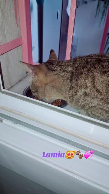 @🇹🇷😻PABLO🇹🇷😻