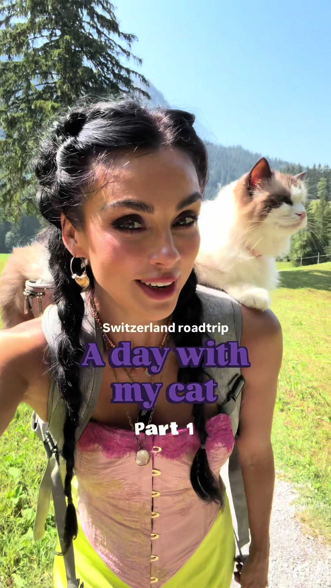 @Lavaux Cat