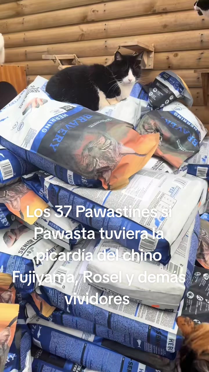 @Pawasta