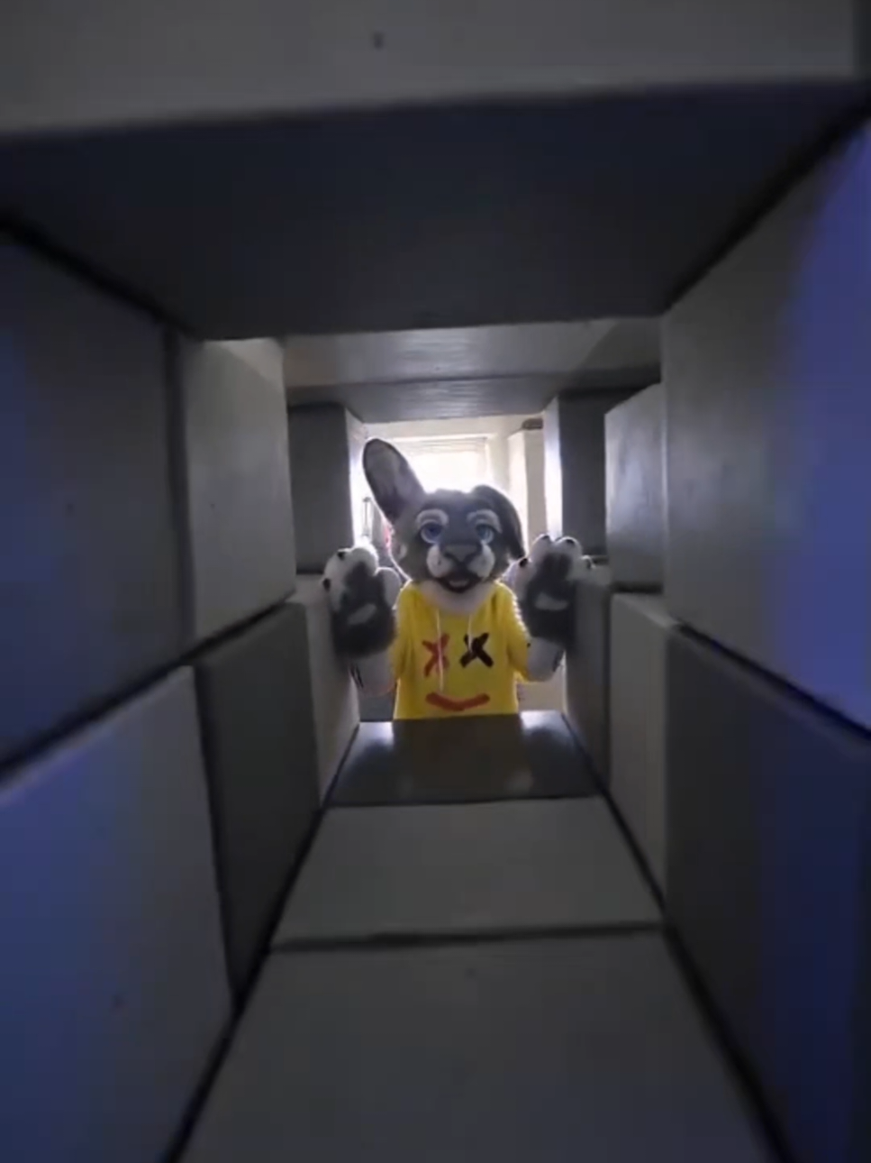 @Difficult Bunny!