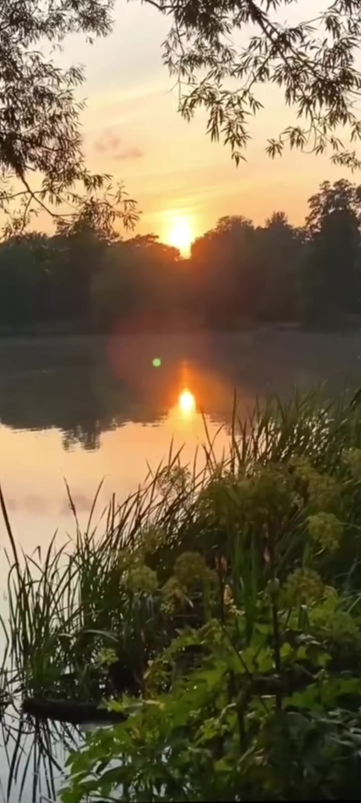 @Anastasia_7_7_2
