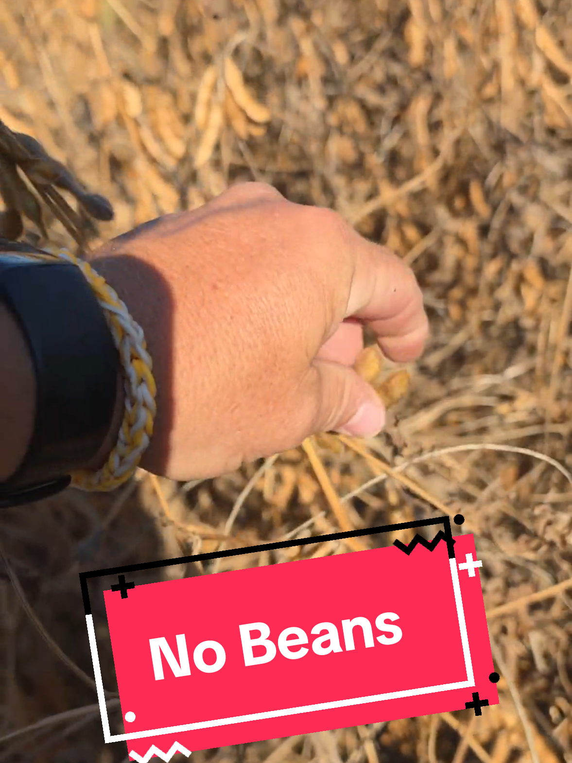 @Bushart Farms