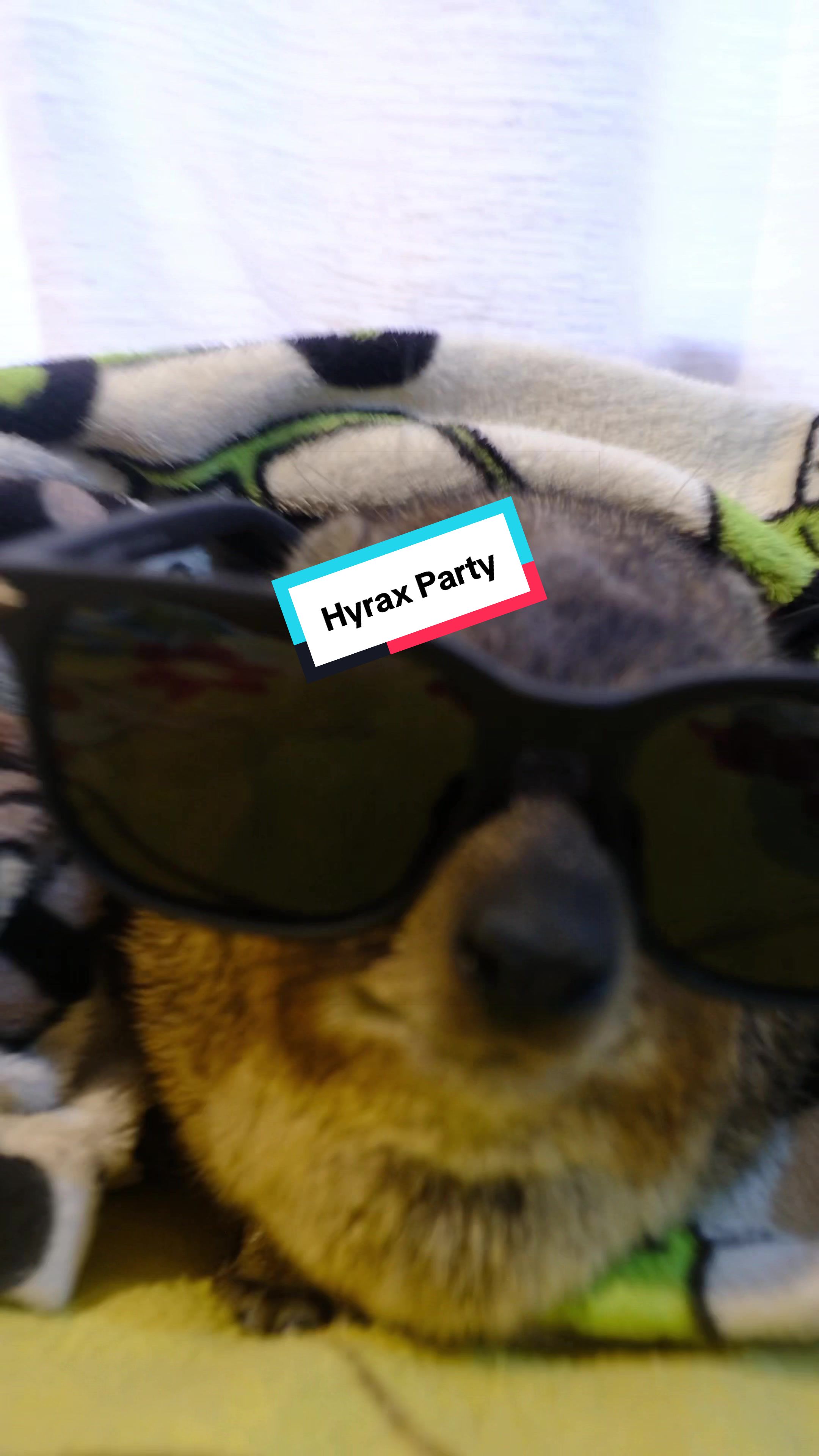 @Hyraxhub