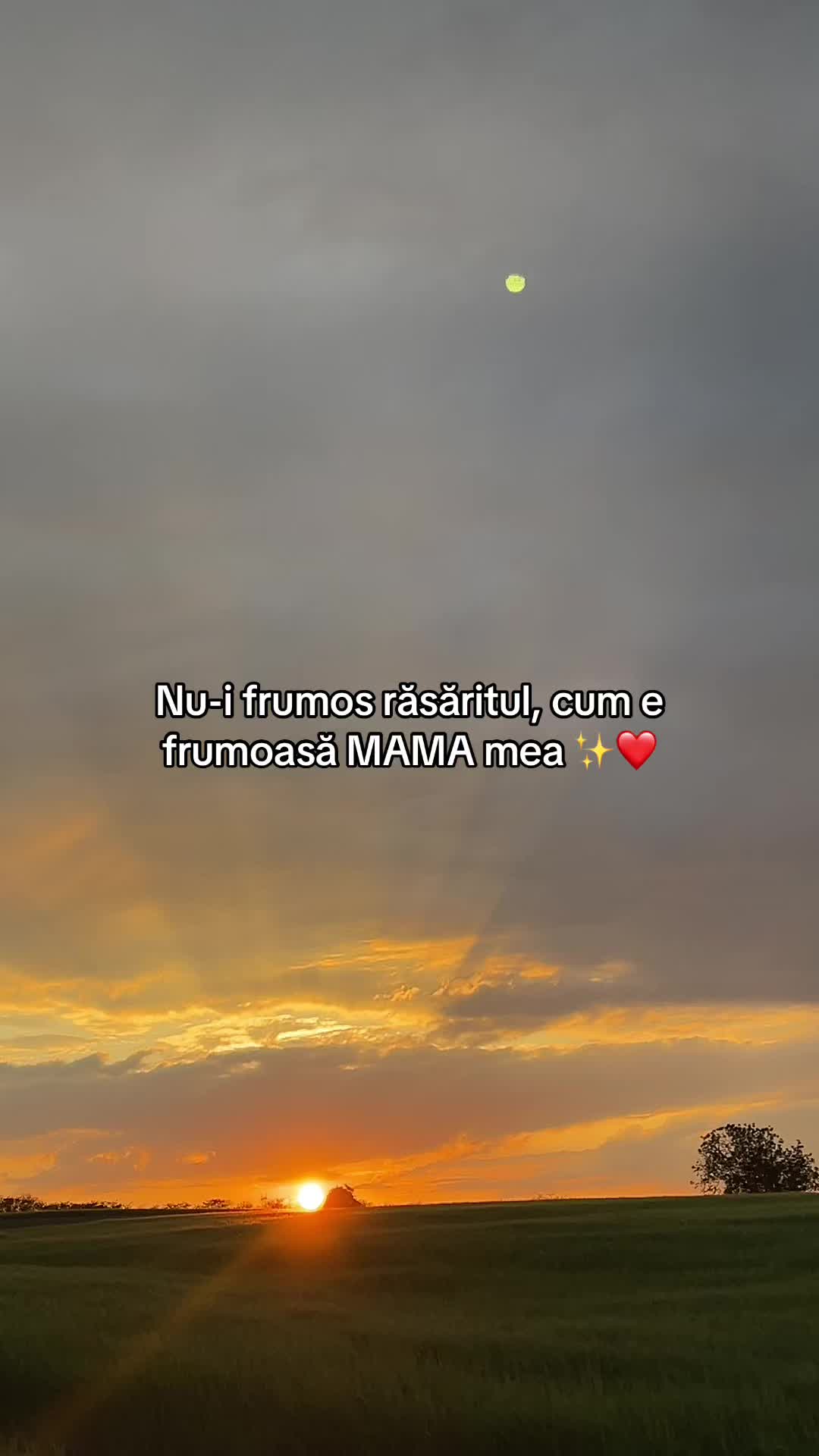 @❤️_Ionut_❤️