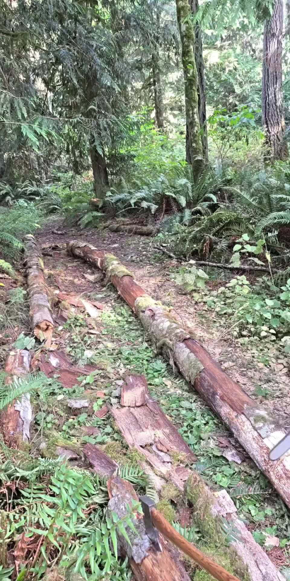 @CryptoOffgrid
