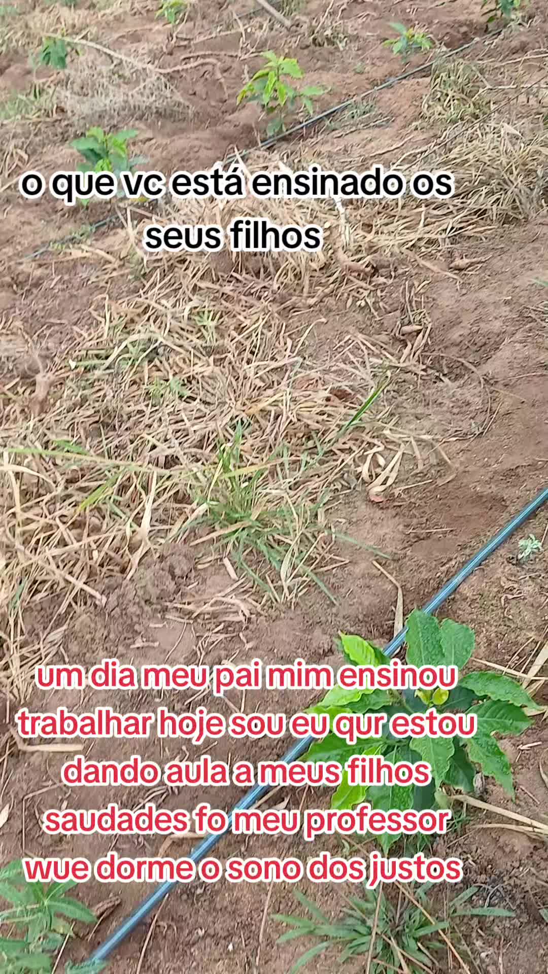 @ELIZEU Batista