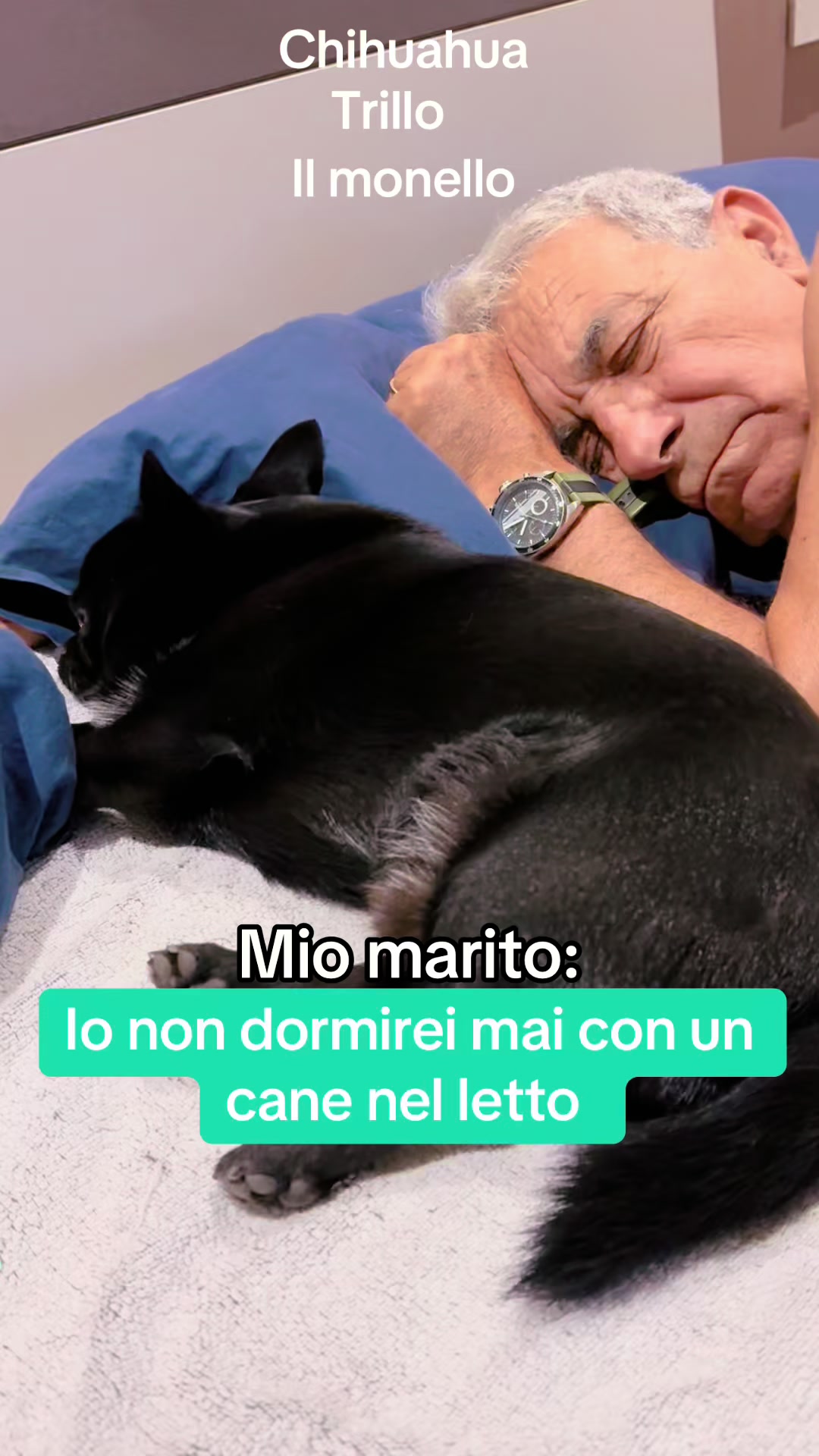 @annacuorvo877