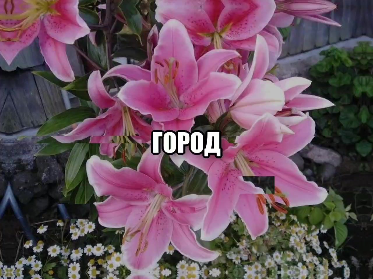 @музыка для липсингов