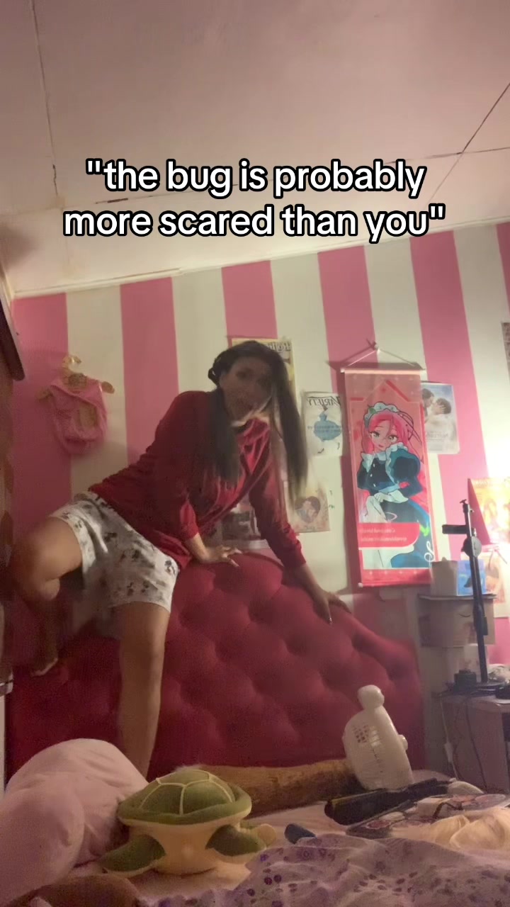 @V 🦝