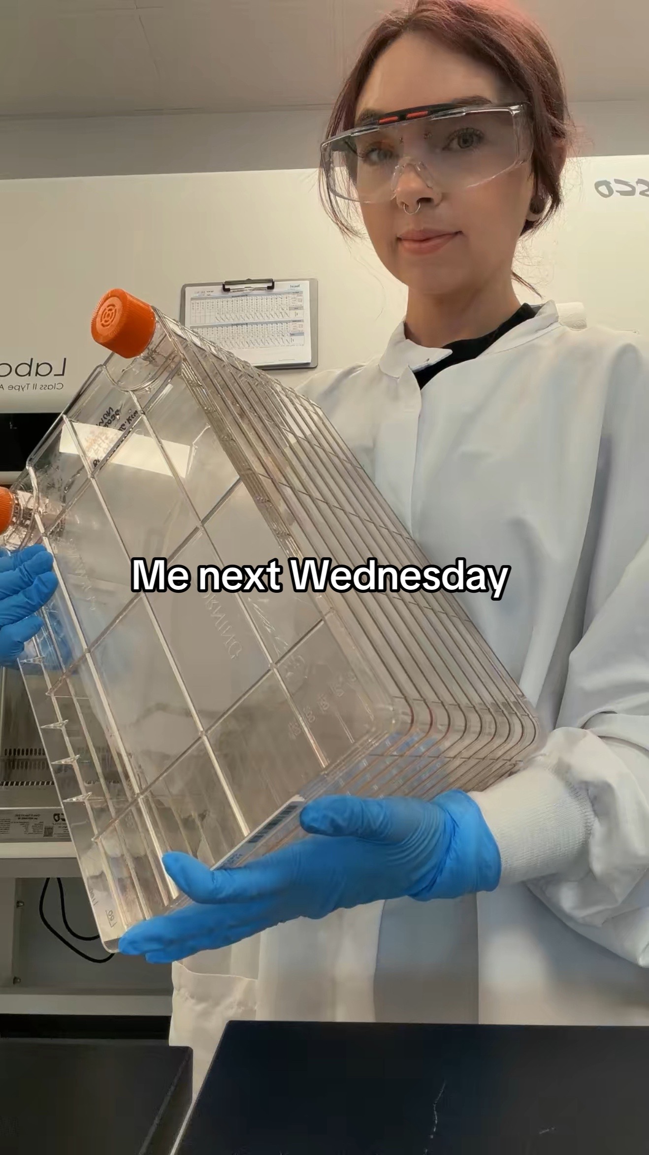 @Kim