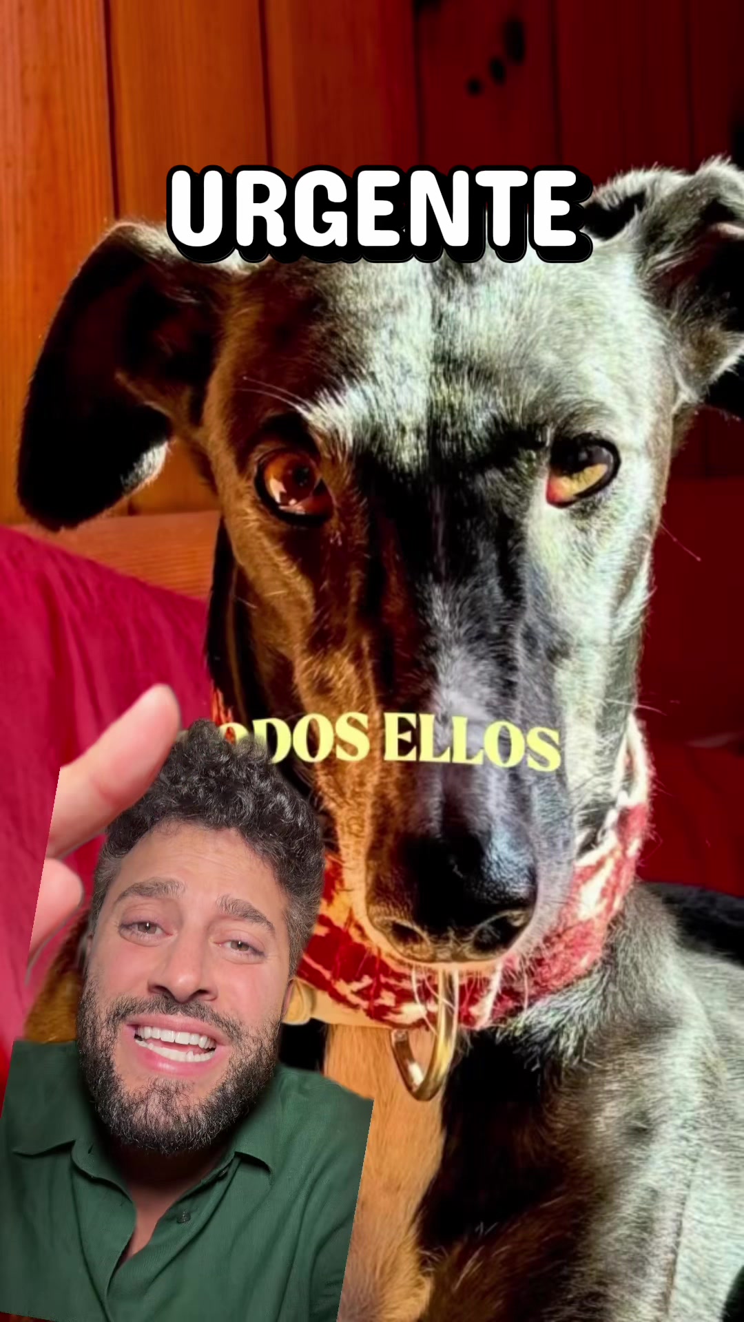 @JaviHoyos
