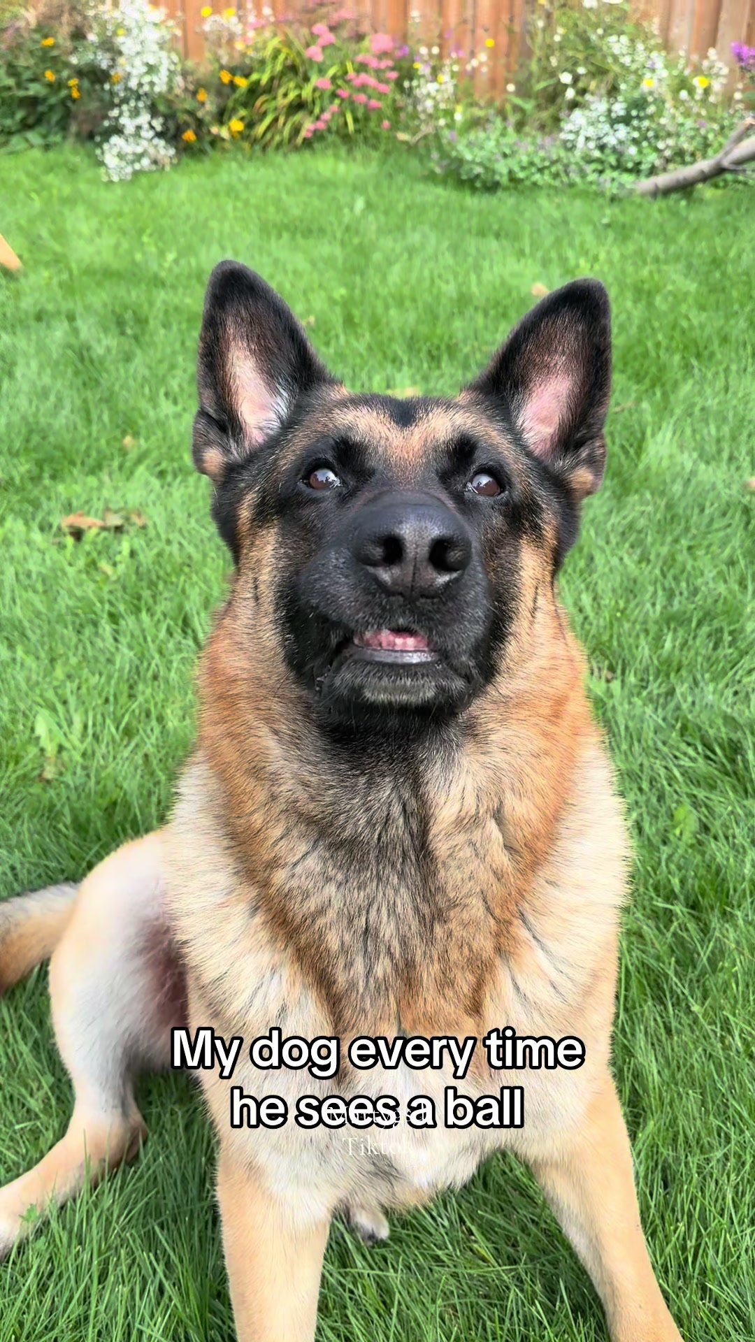 @Martygsd