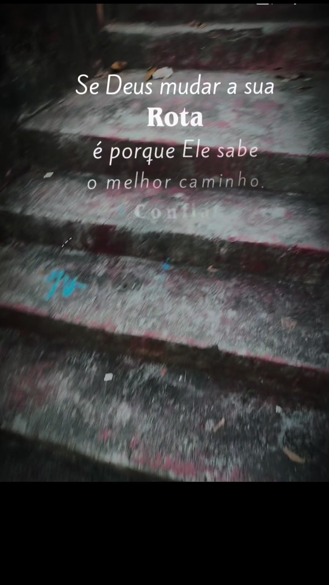 @Sonia Souza
