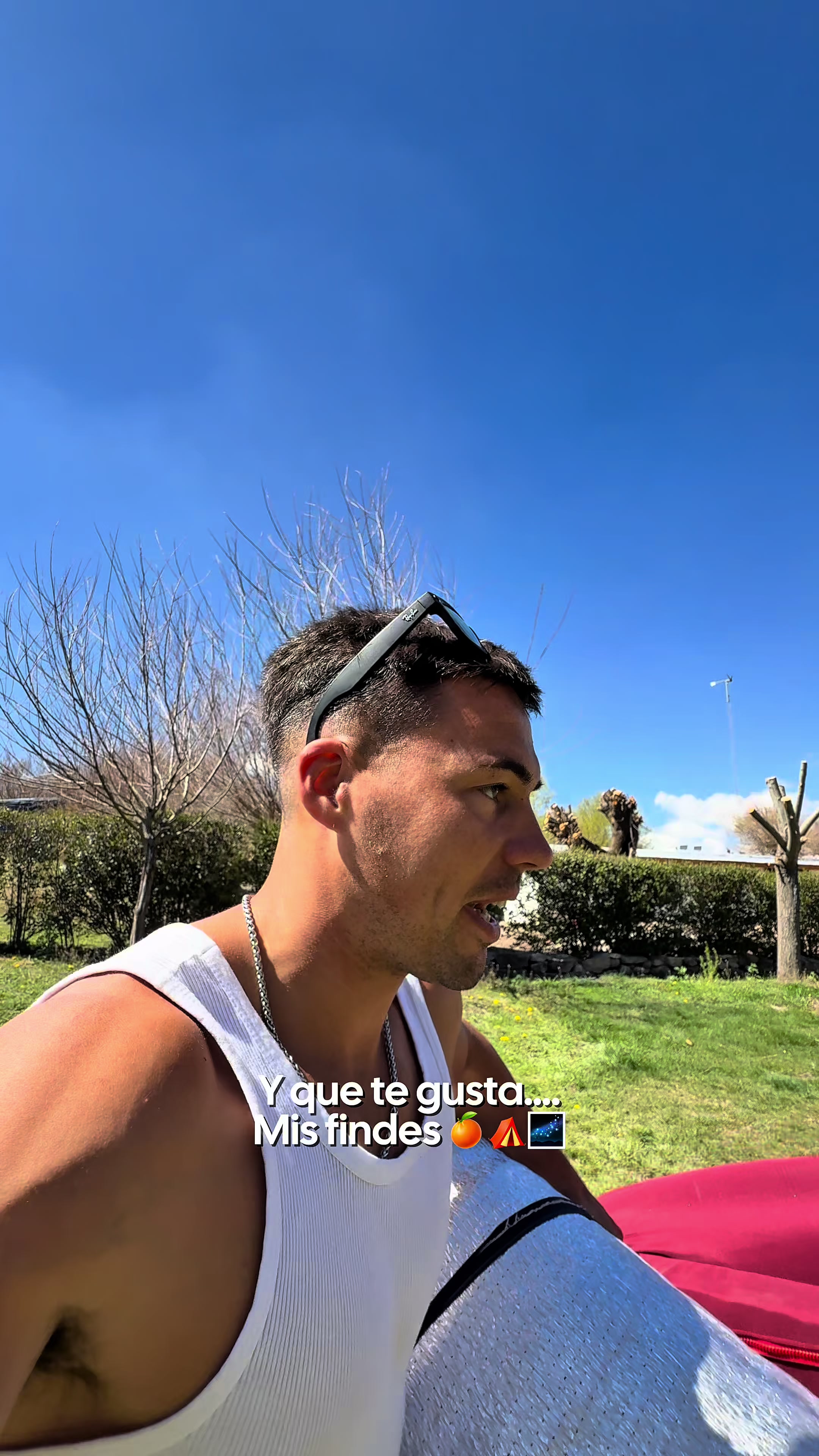 @sebaschonfeld2