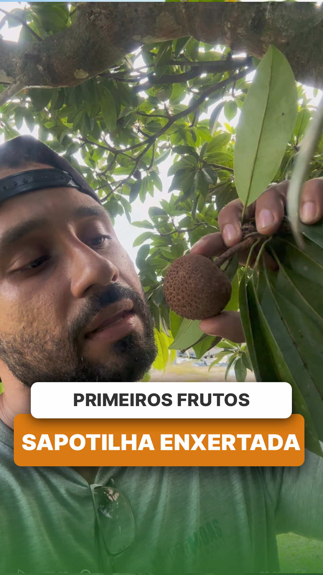 @ViveiroProMudas