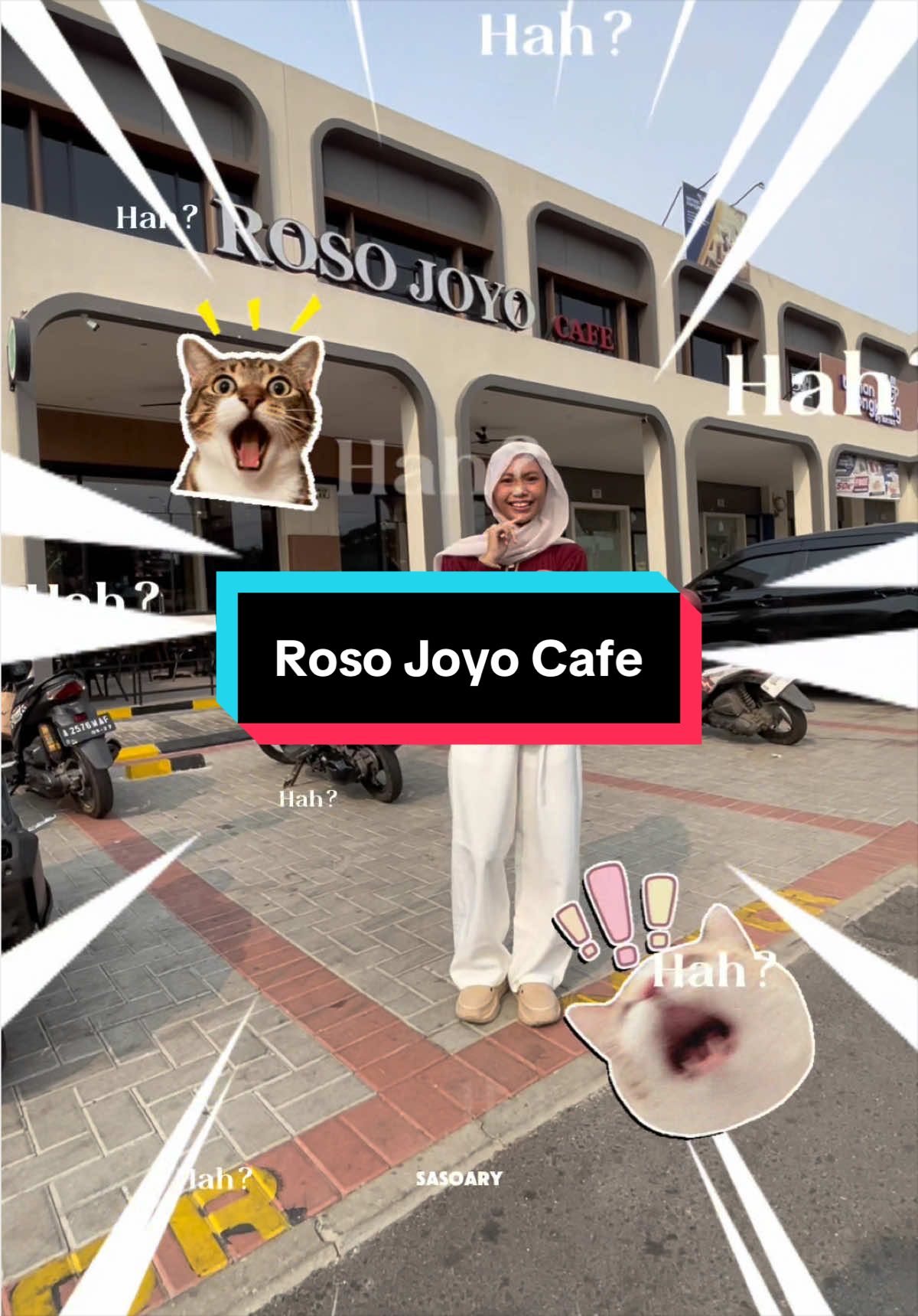 @SasoAry