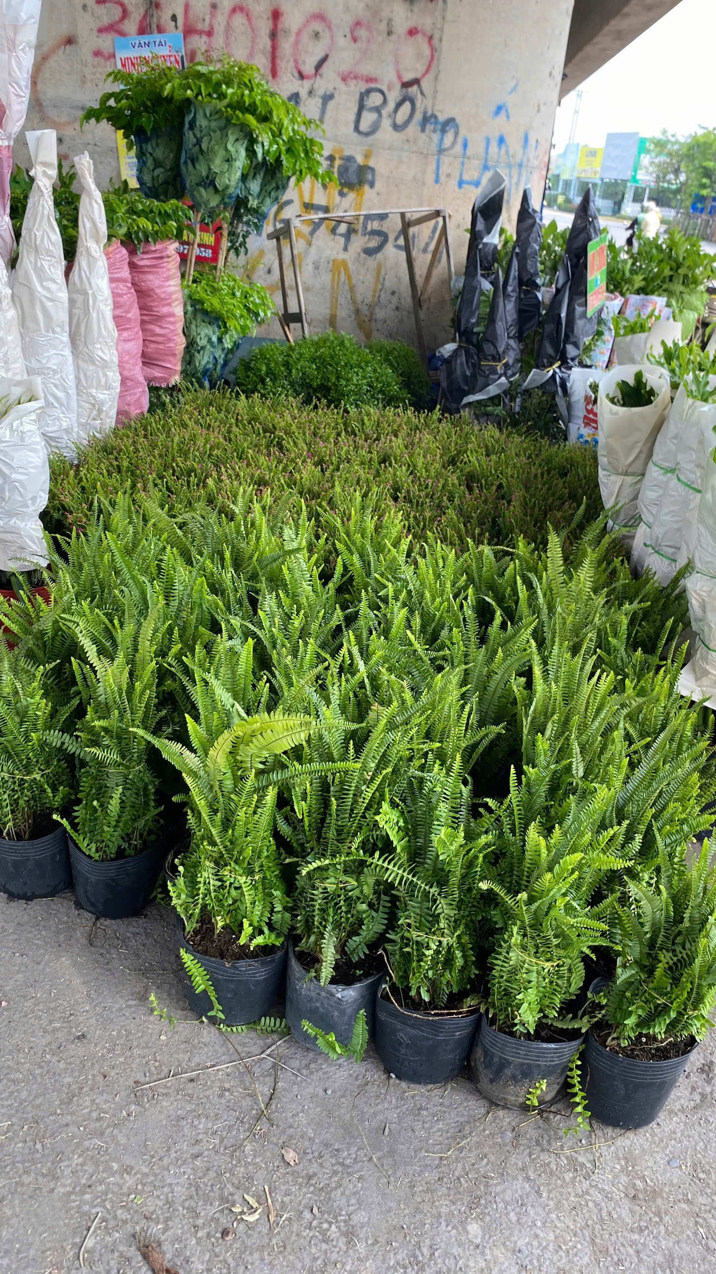 @Tiệm Lá Nhỏ