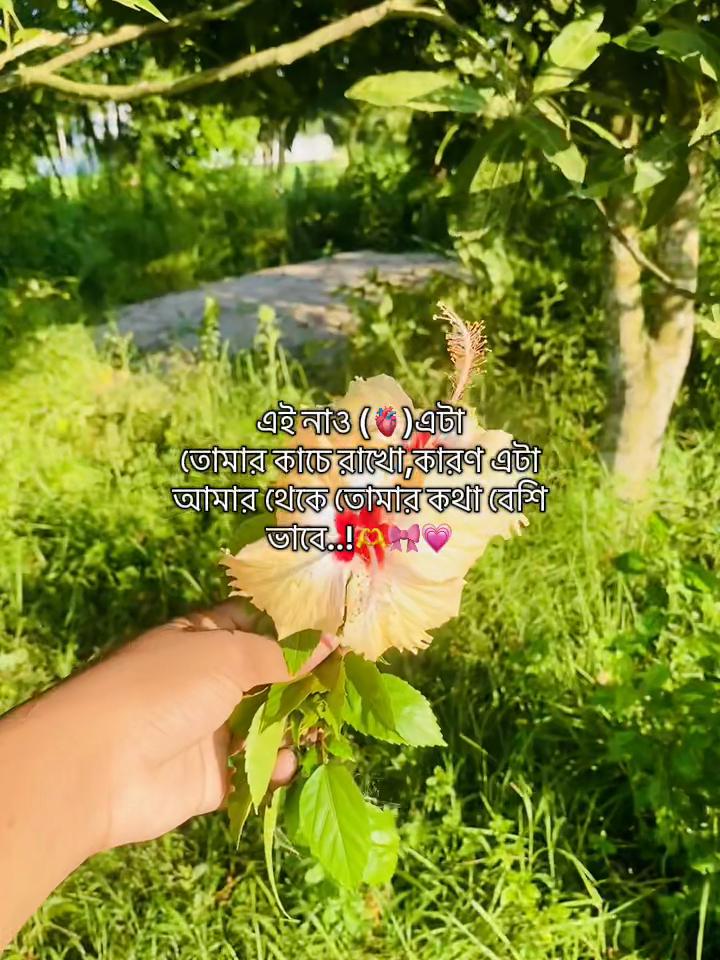 @টিক_টকি 🐸