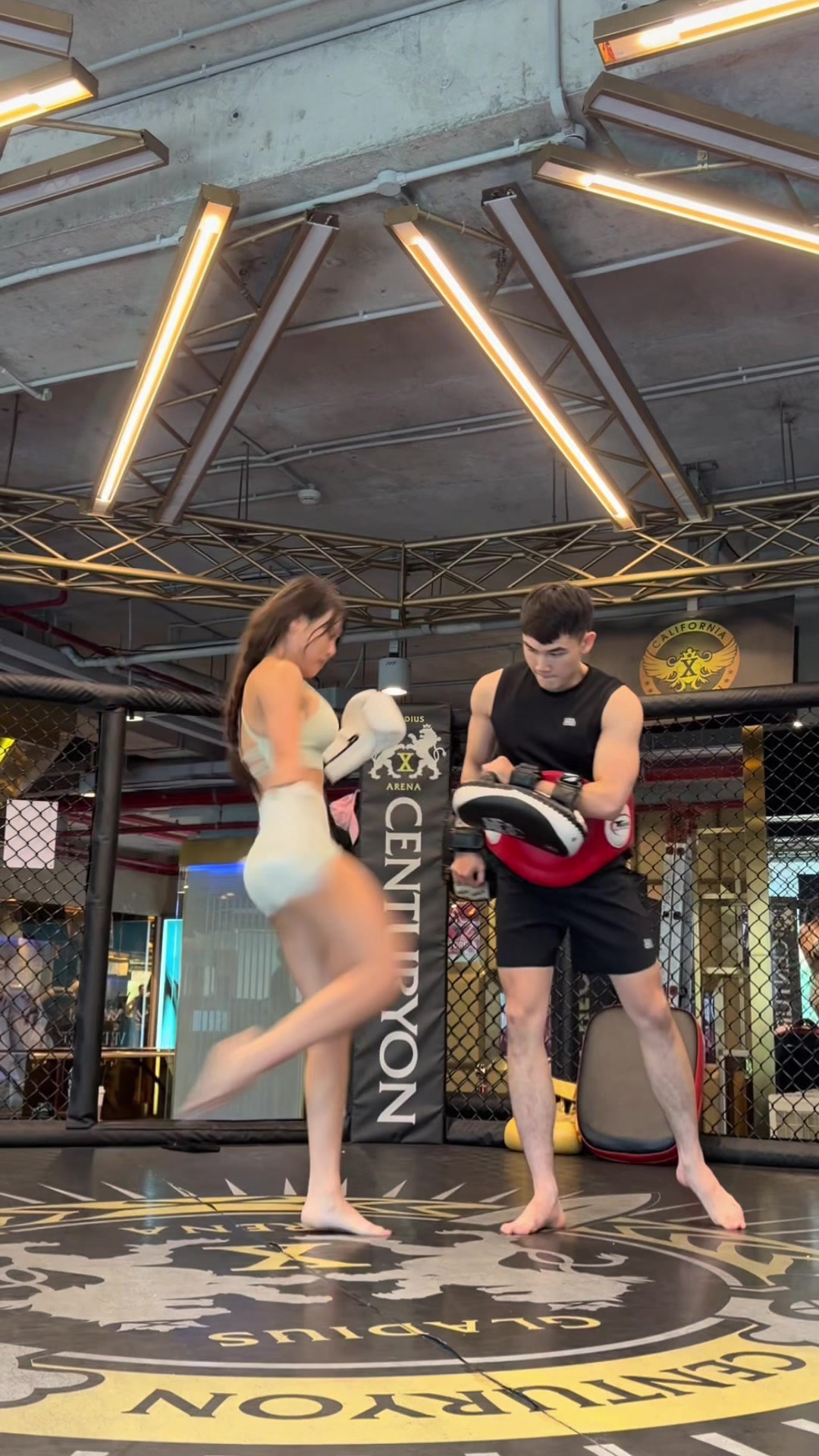 @Thỏ Gymer nezz