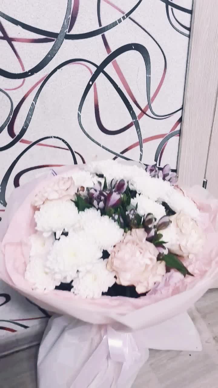 @๐ฑ๐๐น๐๐๐ธ๐ฝ๐๐ถ