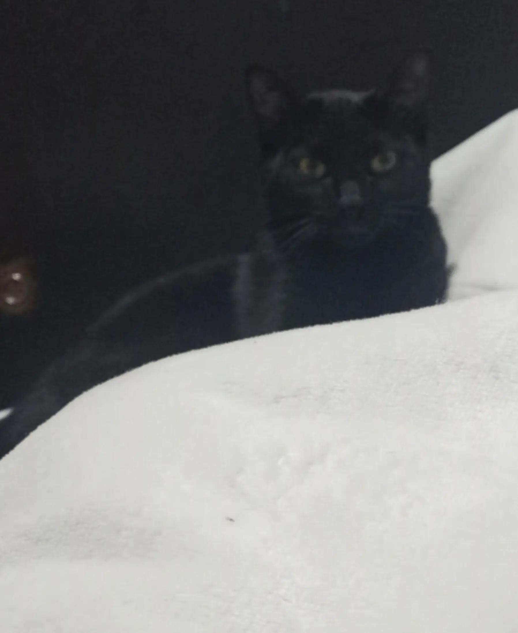 @Ruben shango