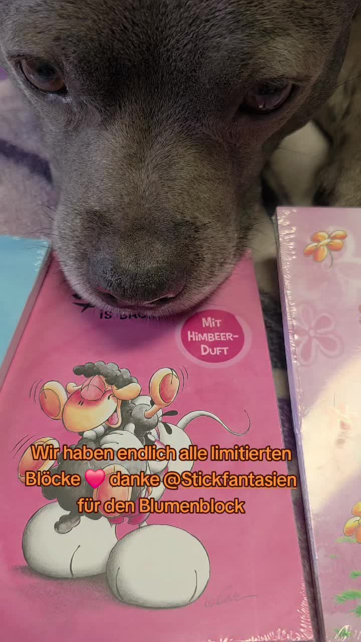 @Zara Alukanija Kiyomi 🐕🐾