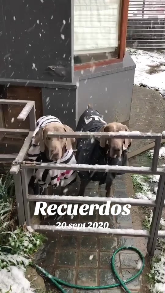 @Chinita